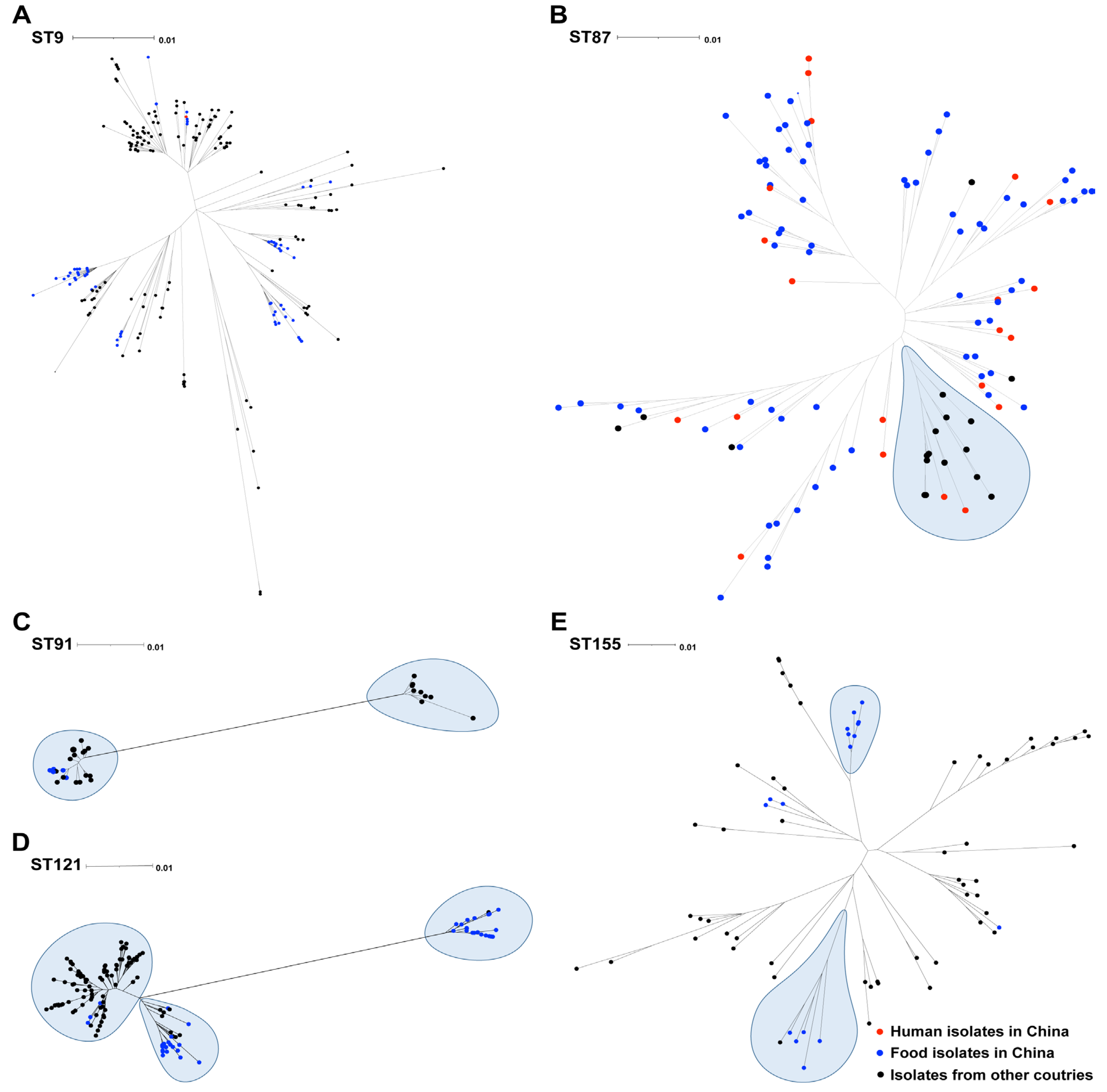 Foods 14 03260 g002 Foods 14 03260 g002