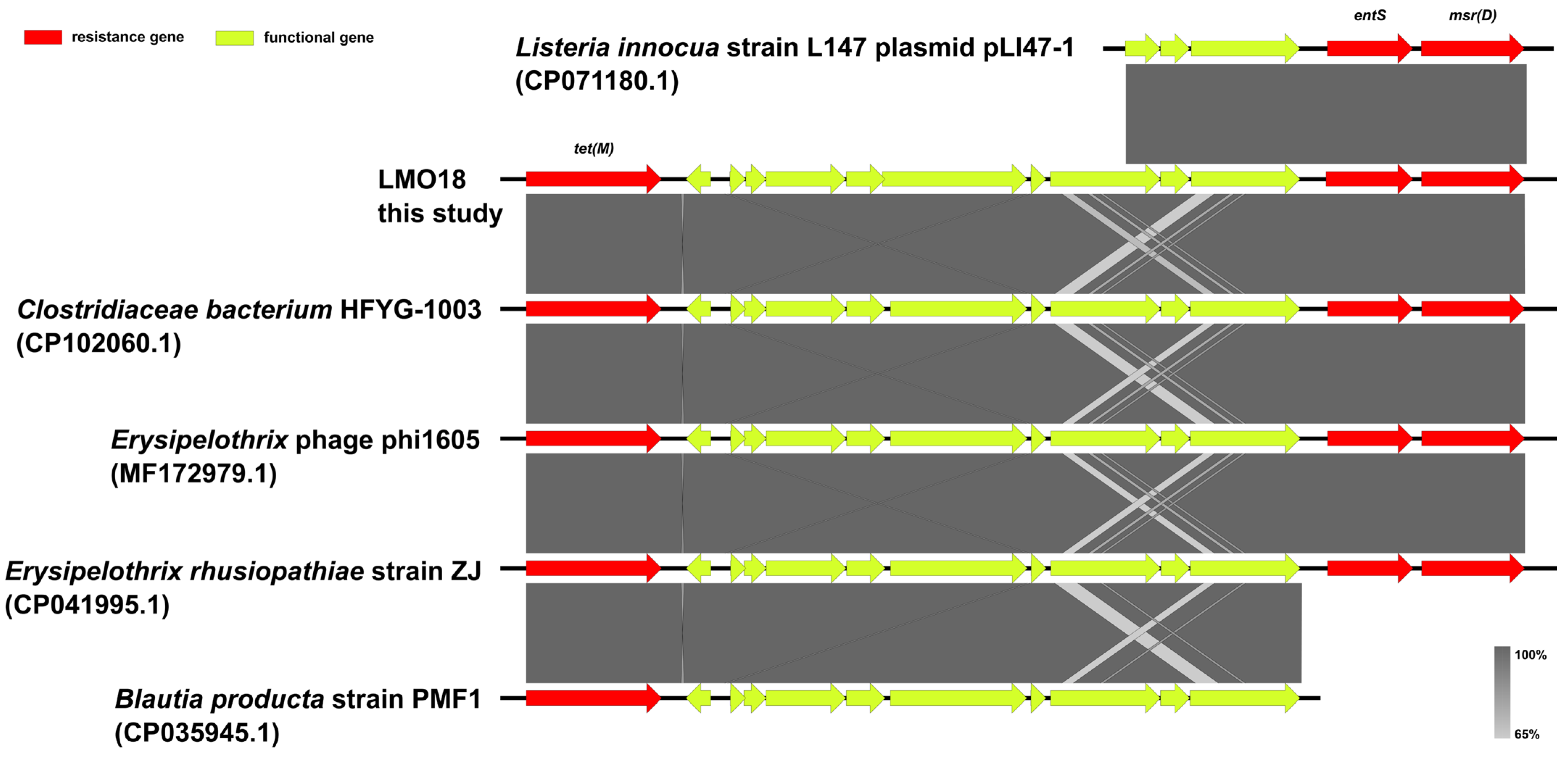 Foods 14 03260 g004 Foods 14 03260 g004