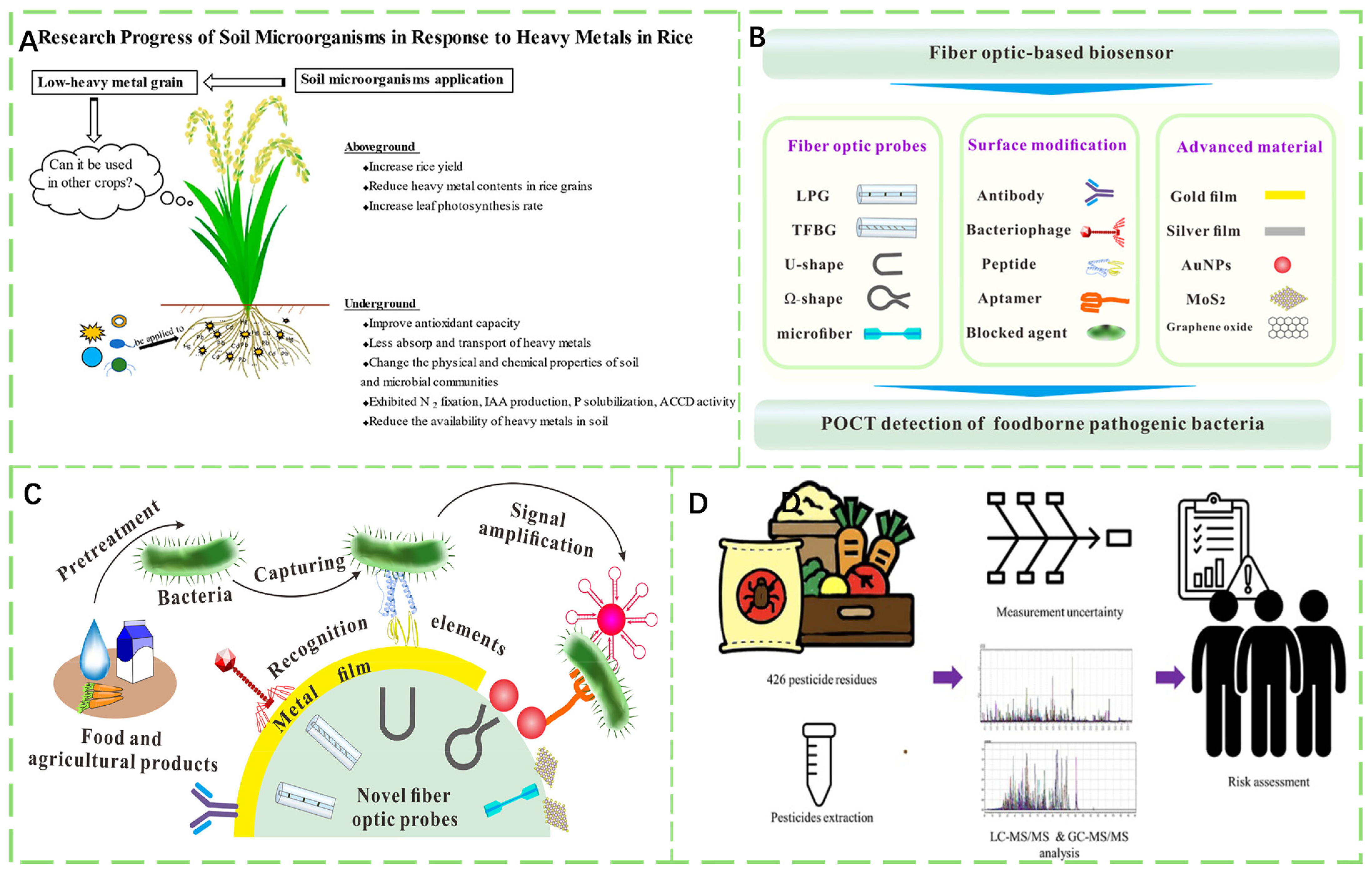 Foods 14 03261 g001 Foods 14 03261 g001