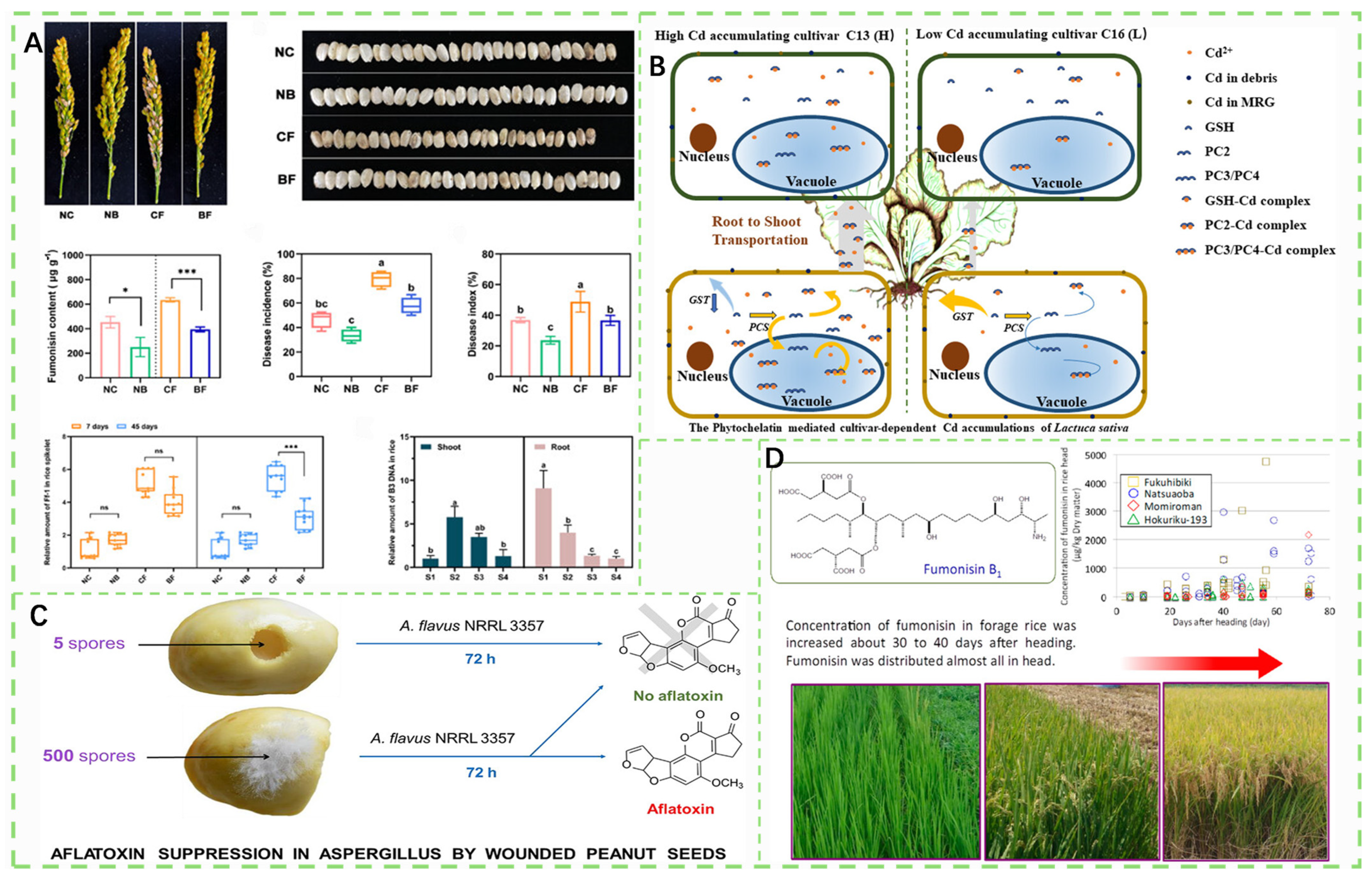 Foods 14 03261 g004 Foods 14 03261 g004