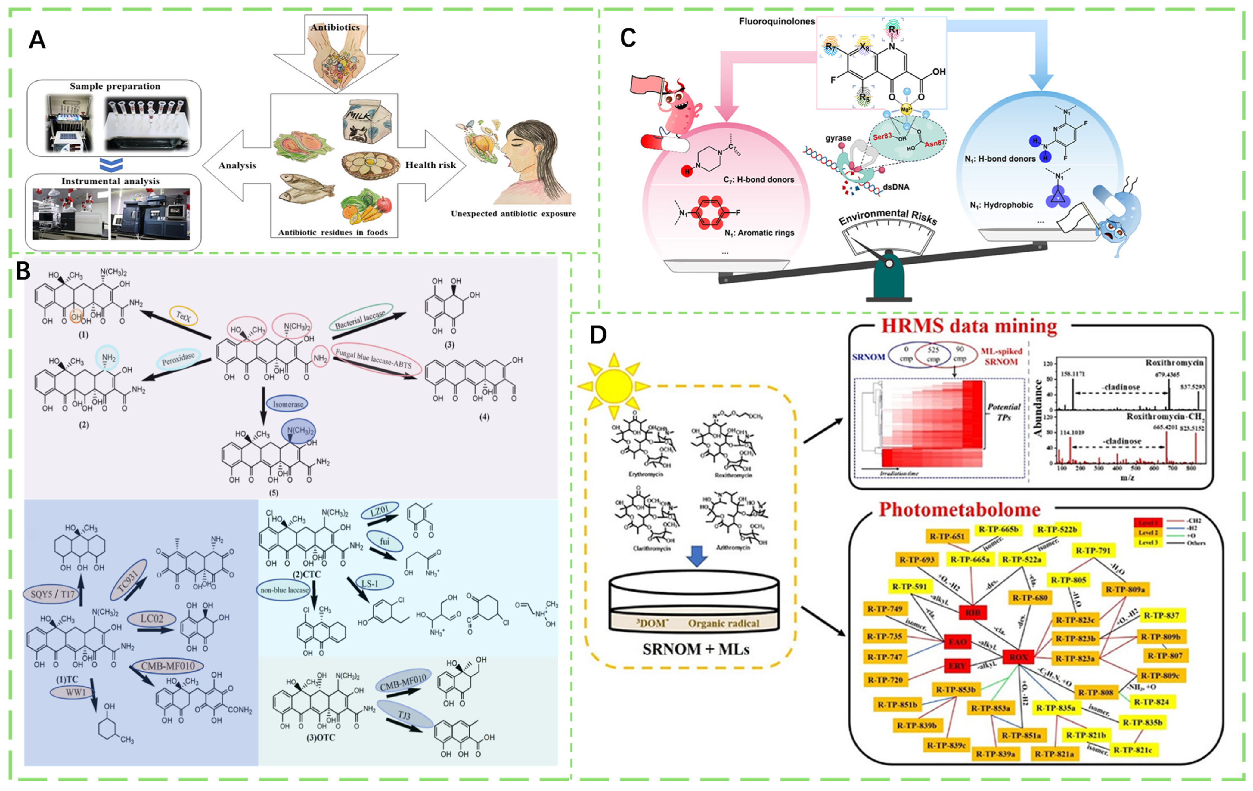 Foods 14 03261 g006 Foods 14 03261 g006