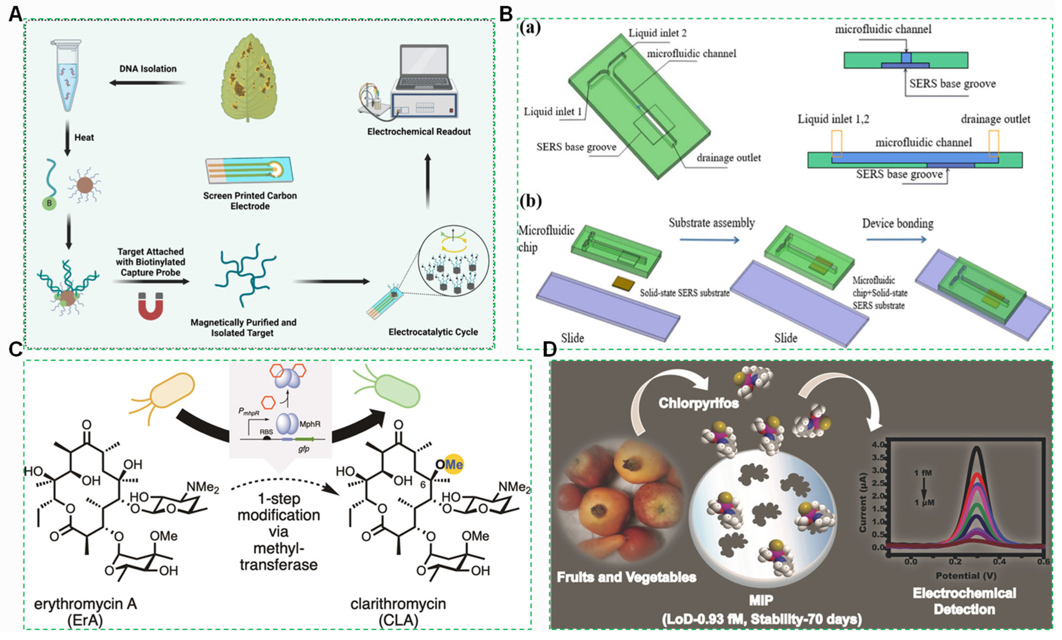 Foods 14 03261 g010 Foods 14 03261 g010