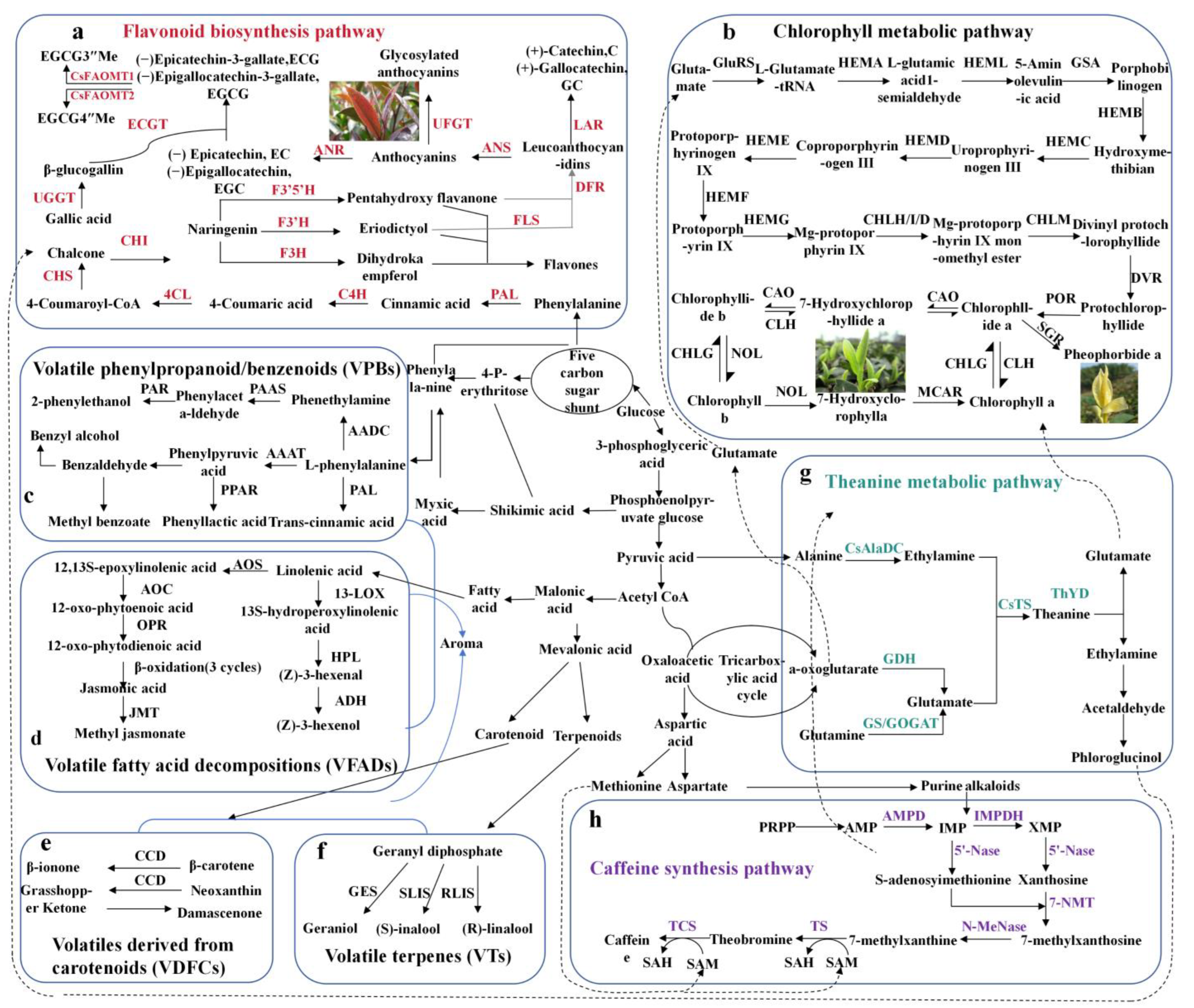 Foods 14 03268 g001 Foods 14 03268 g001