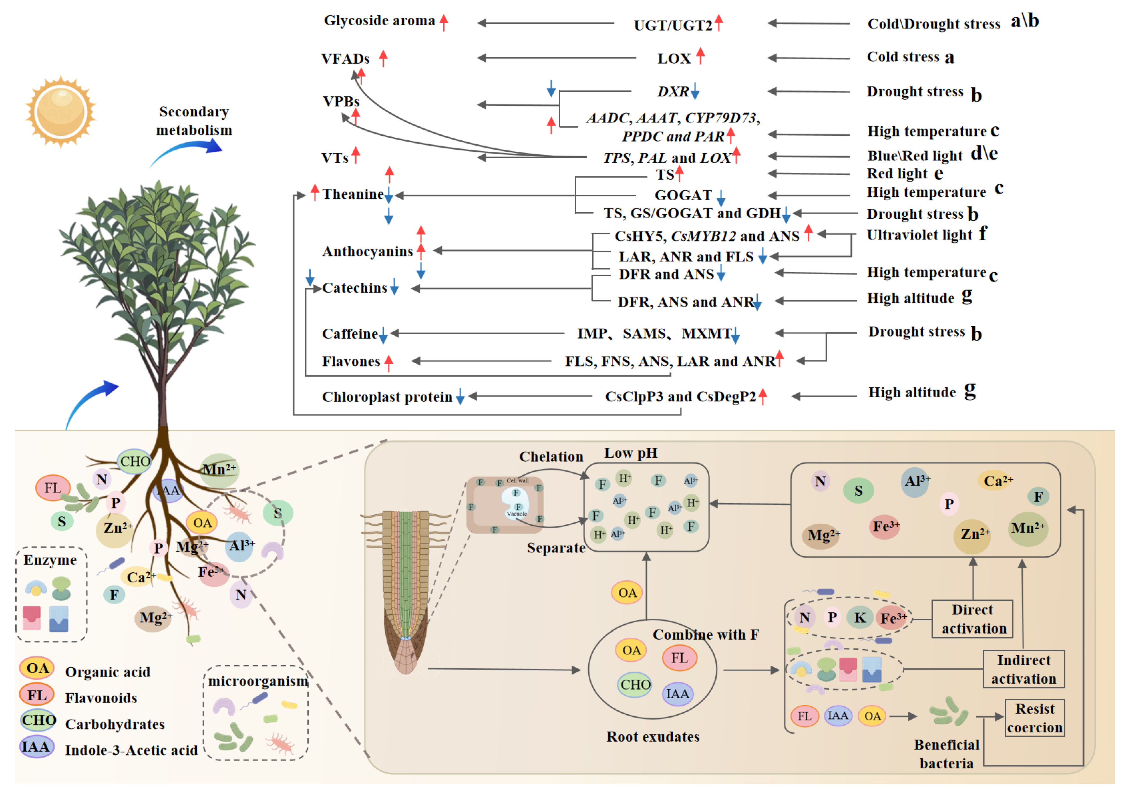 Foods 14 03268 g002 Foods 14 03268 g002