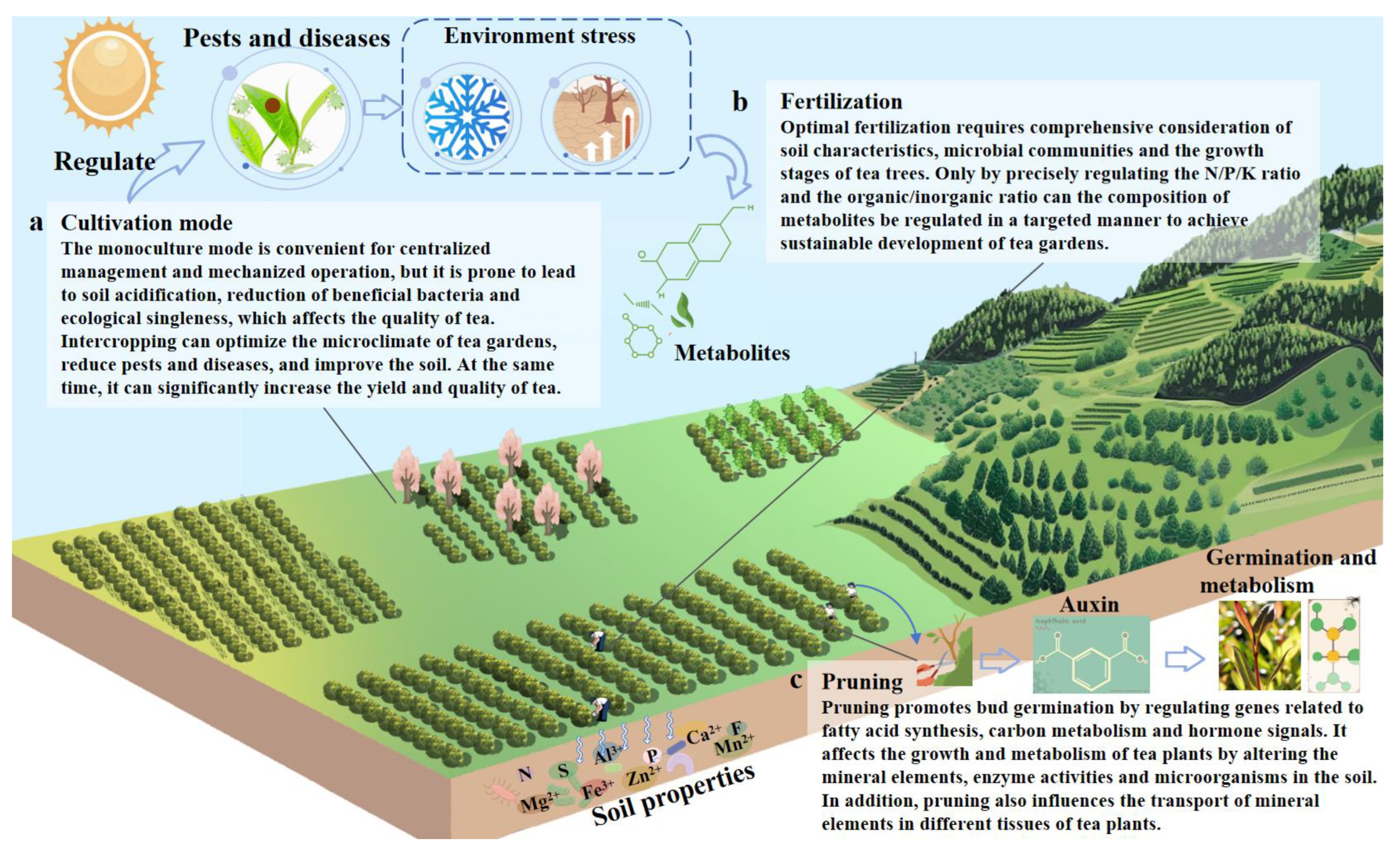 Foods 14 03268 g003 Foods 14 03268 g003