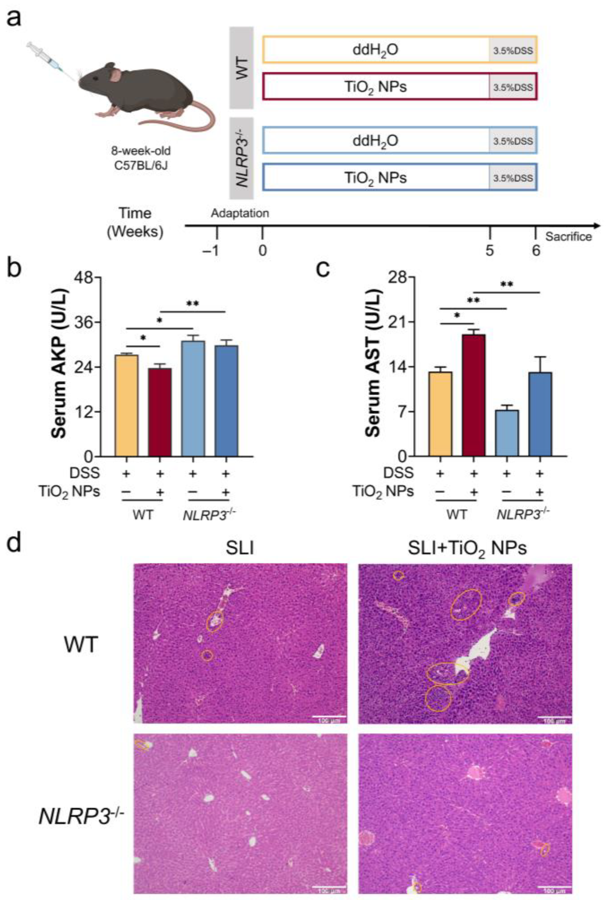 Foods 14 03279 g004 Foods 14 03279 g004