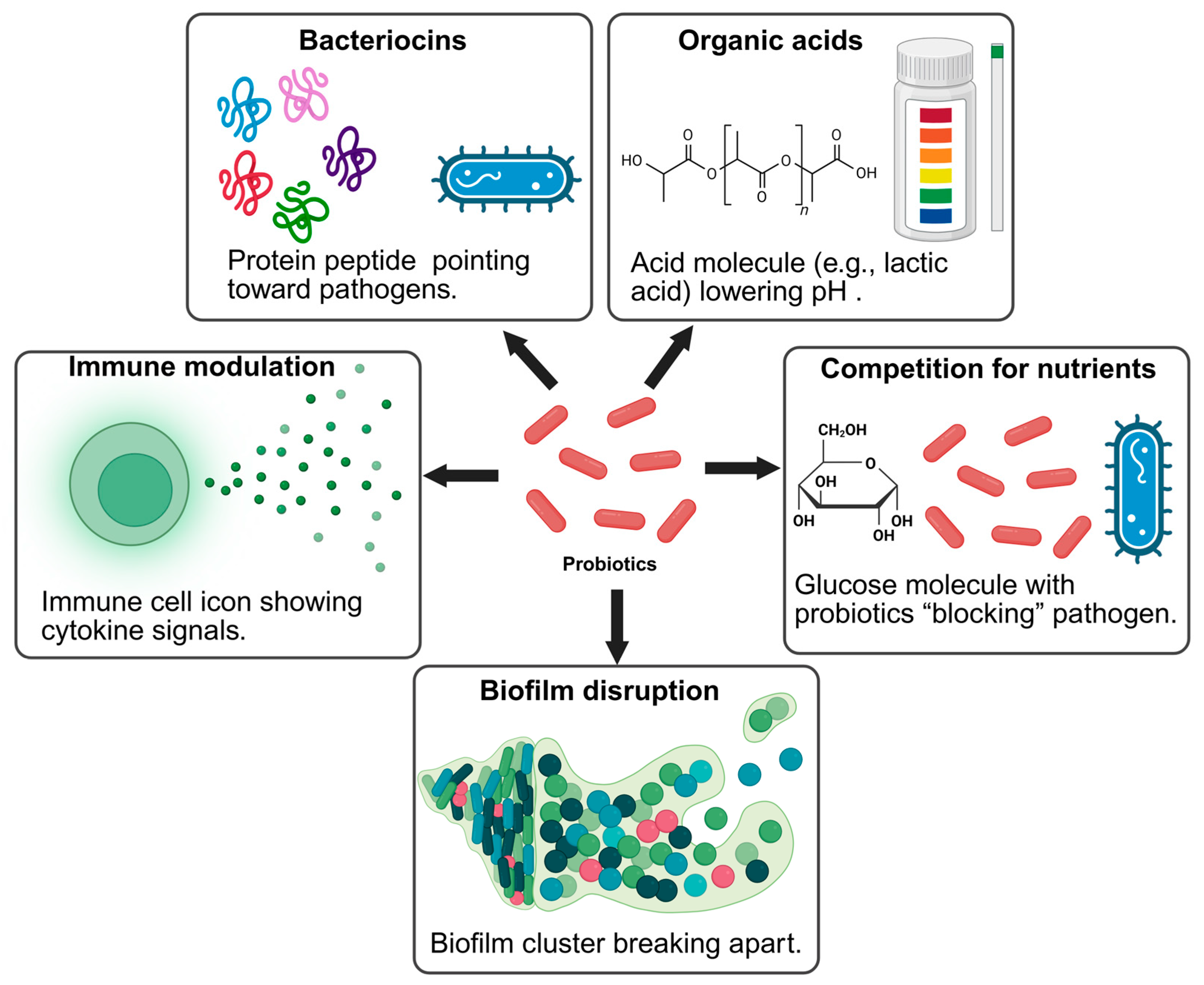 Foods 14 03281 g001 Foods 14 03281 g001