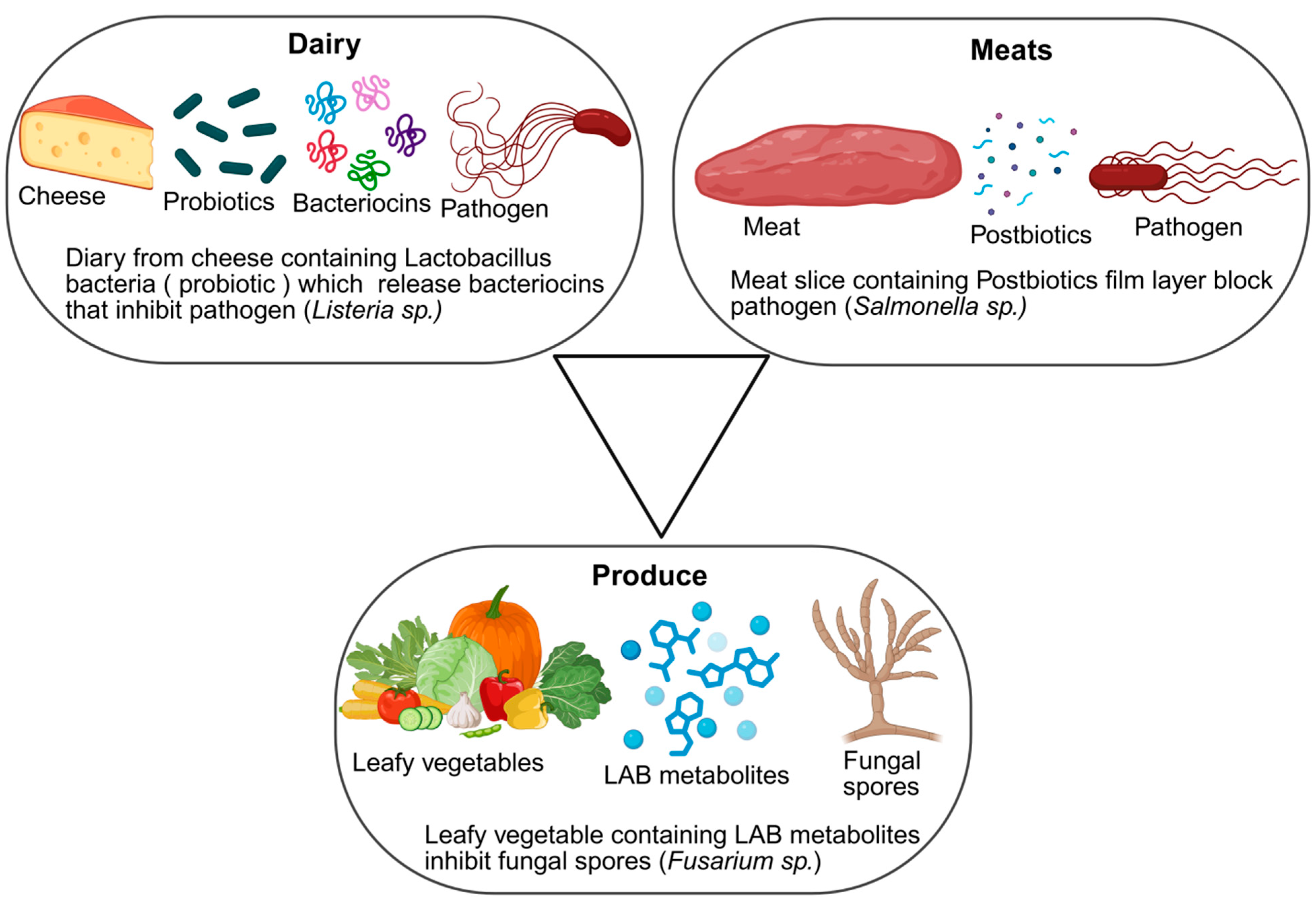 Foods 14 03281 g002 Foods 14 03281 g002