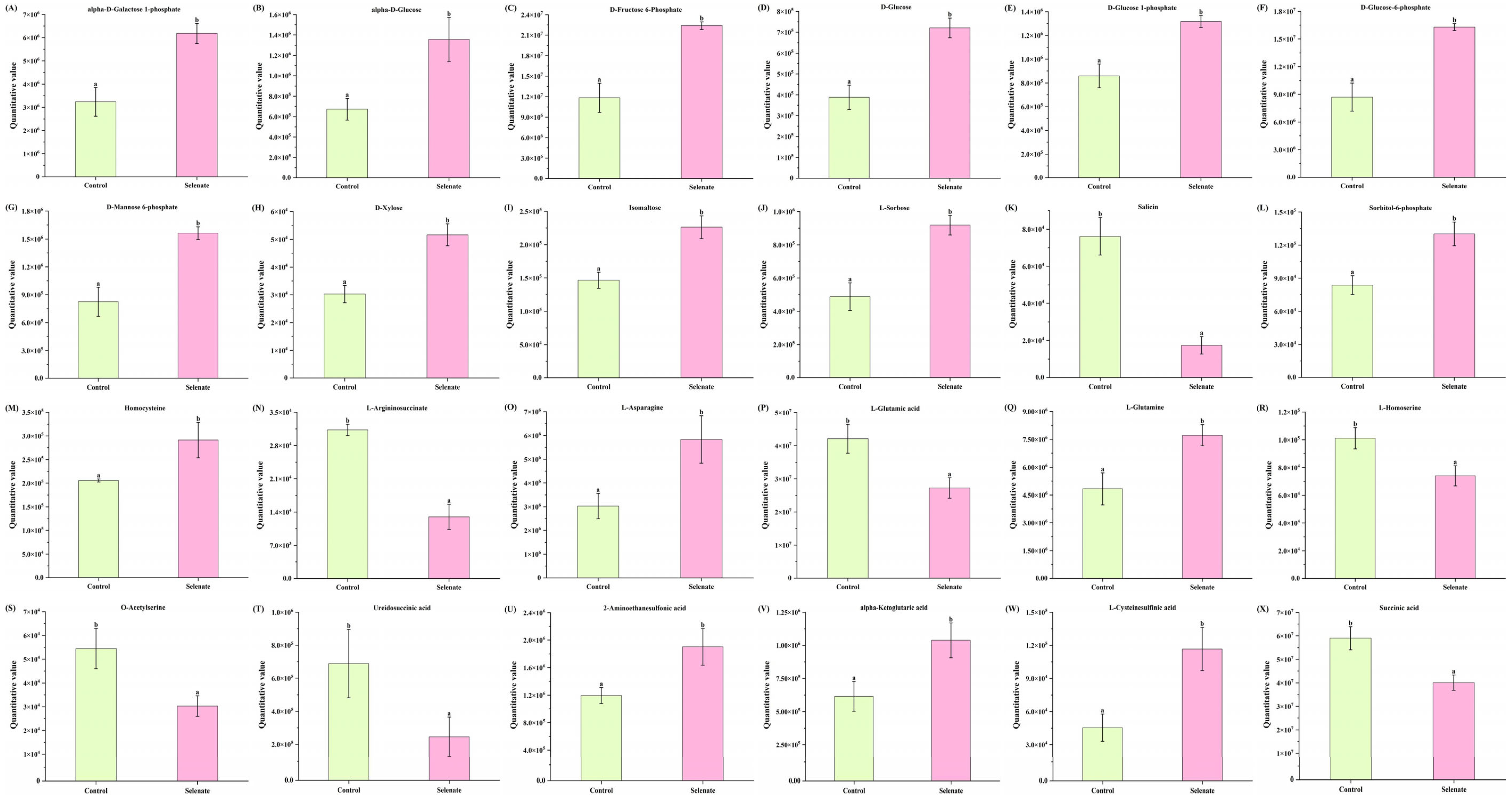 Foods 14 03283 g005 Foods 14 03283 g005