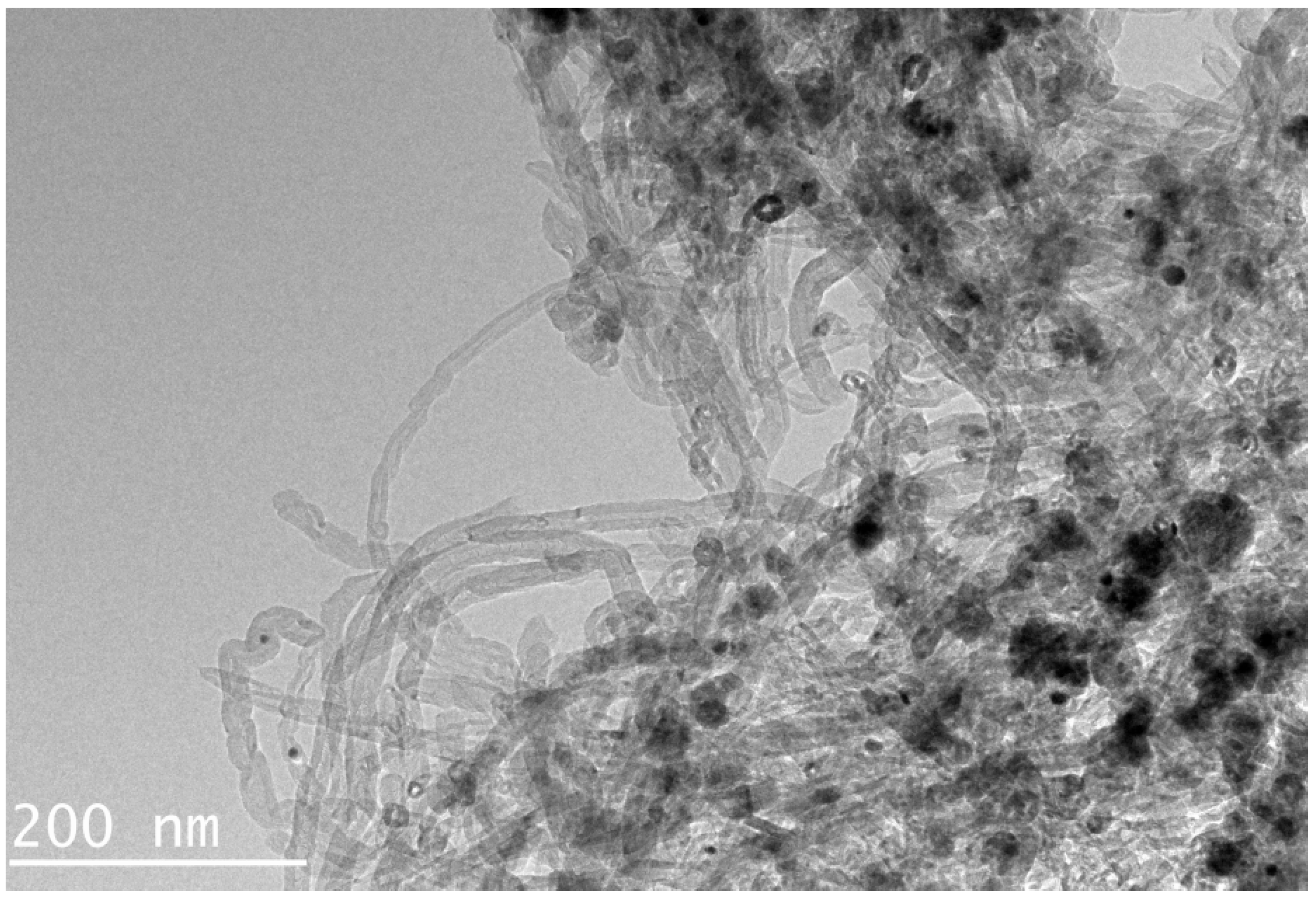 Foods 14 03288 g001 Foods 14 03288 g001