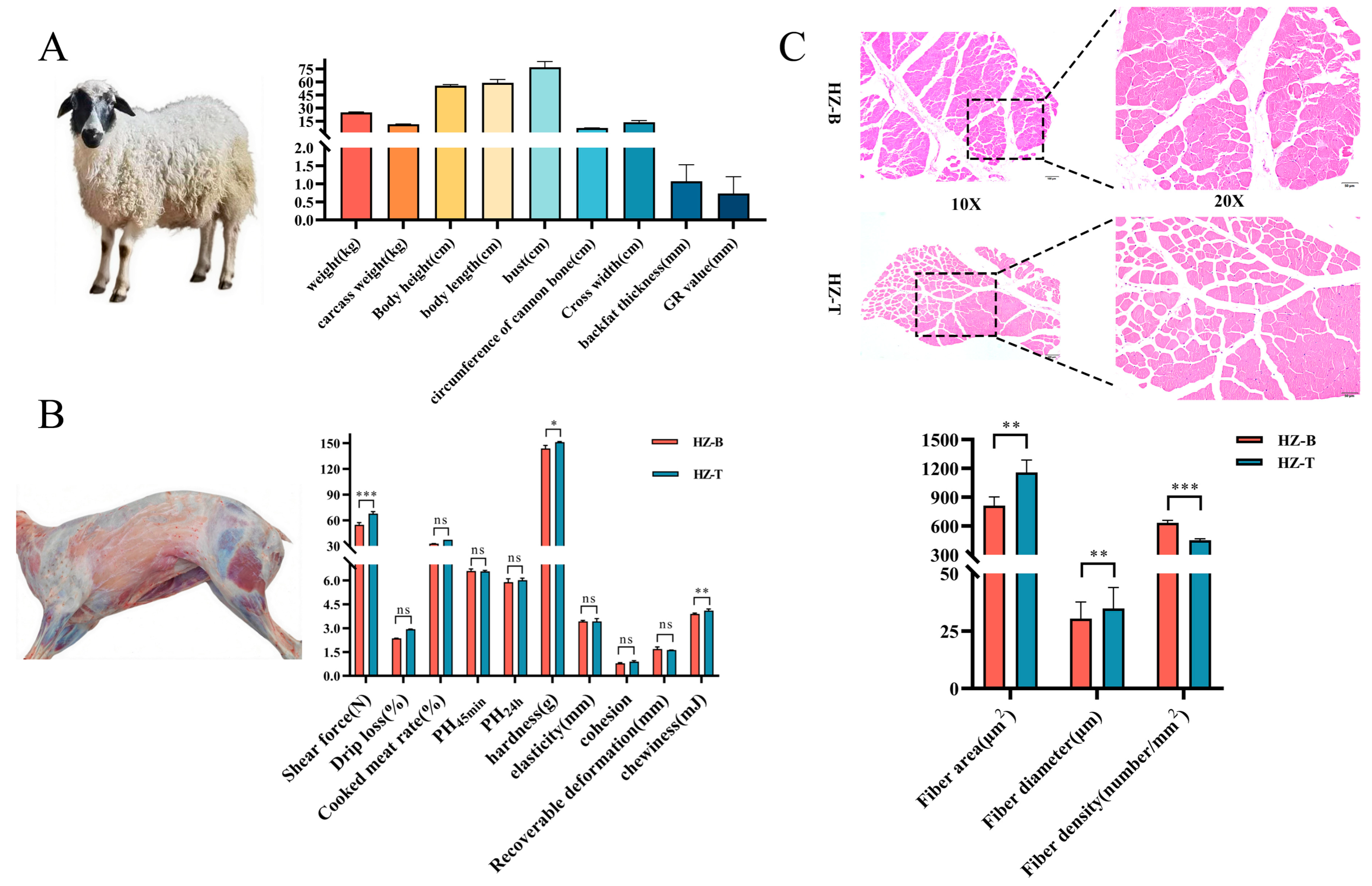 Foods 14 03289 g001 Foods 14 03289 g001