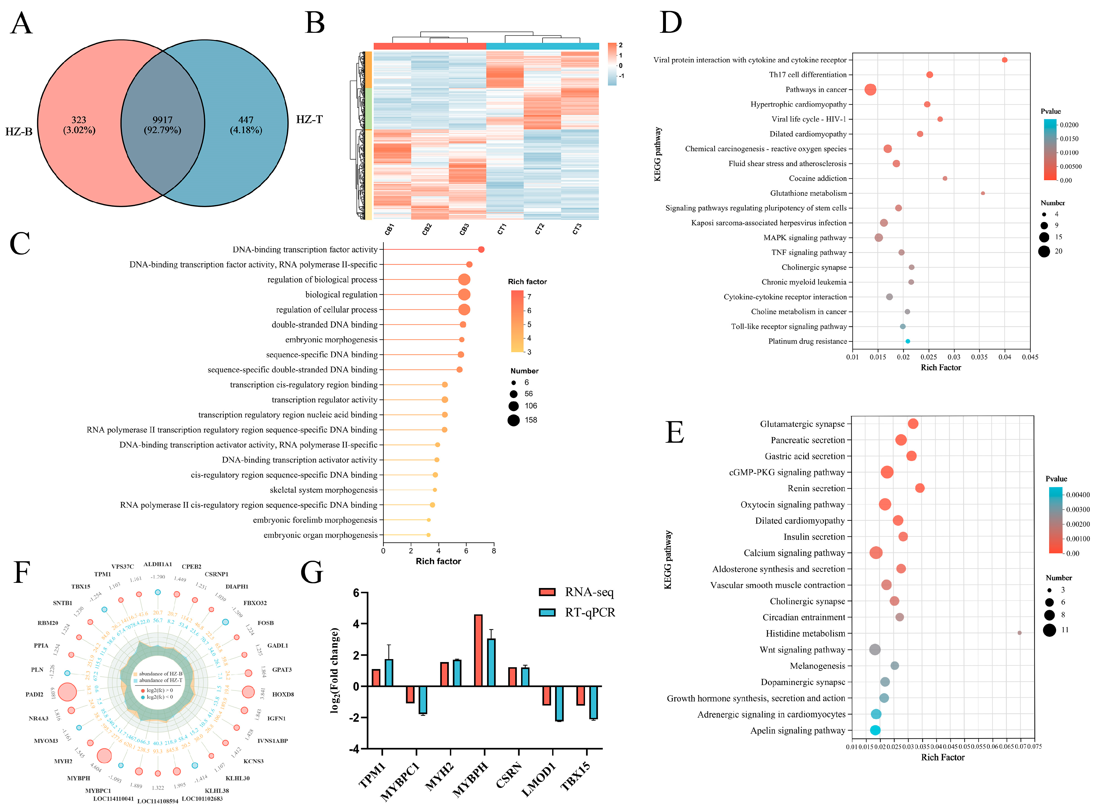 Foods 14 03289 g004 Foods 14 03289 g004