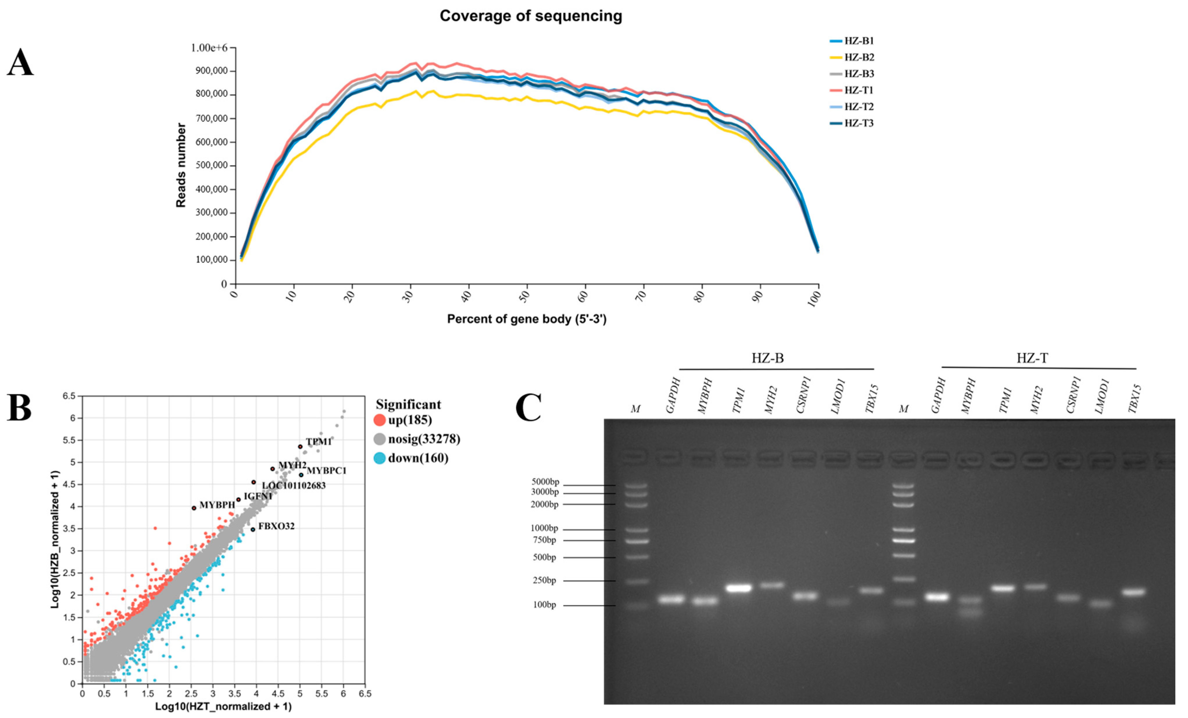 Foods 14 03289 g0a2 Foods 14 03289 g0a2