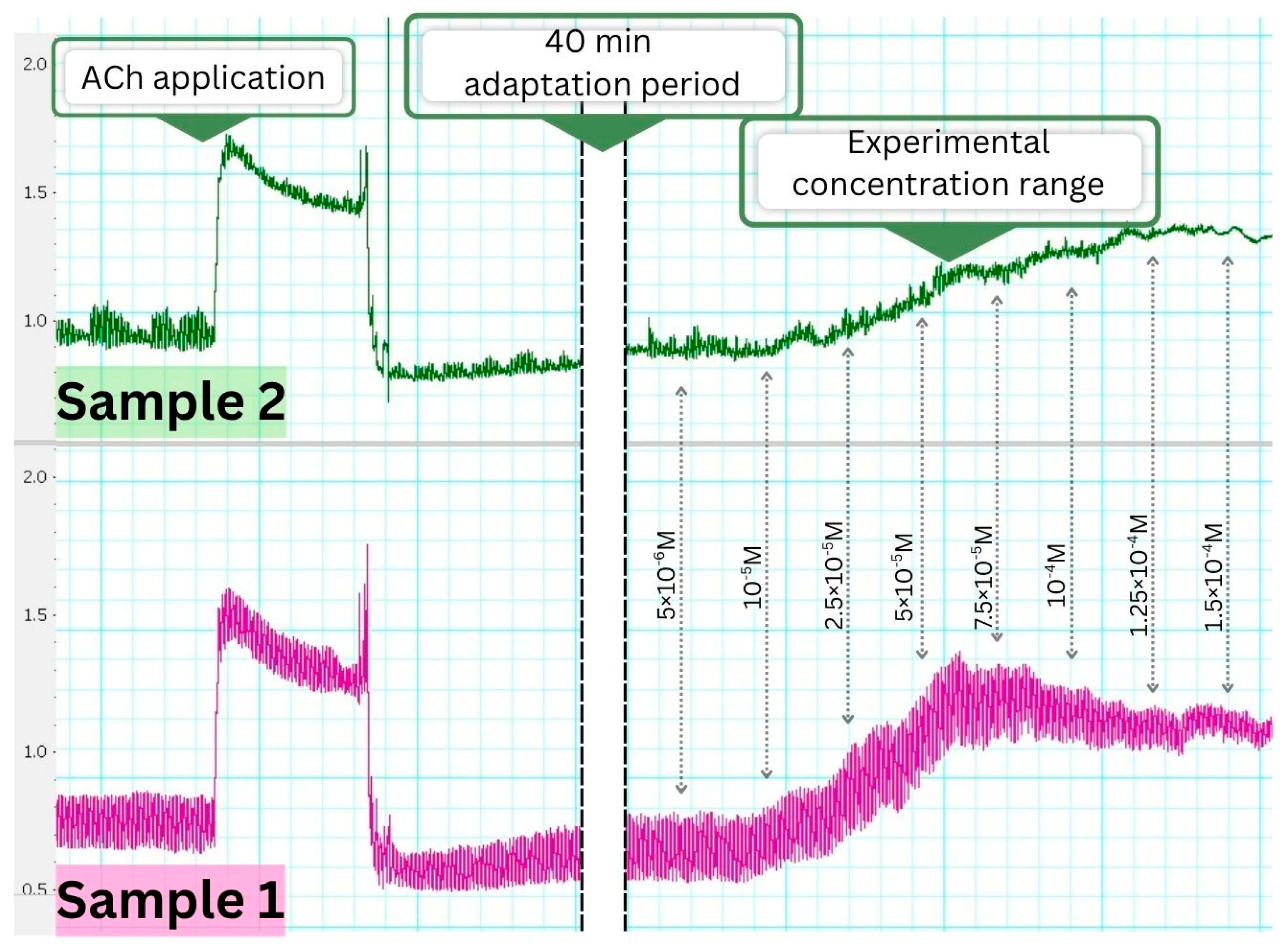 Foods 14 03319 g004 Foods 14 03319 g004