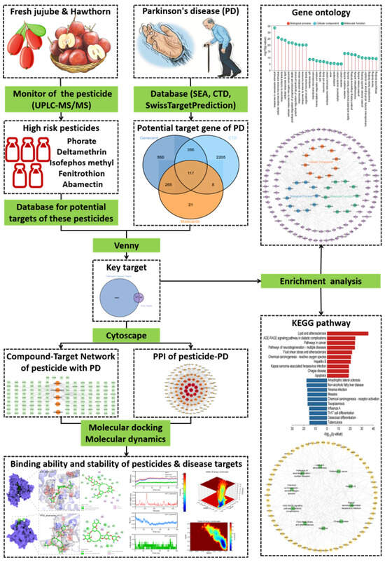 Speculation on the Mechanism of Parkinson's Disease Induced by