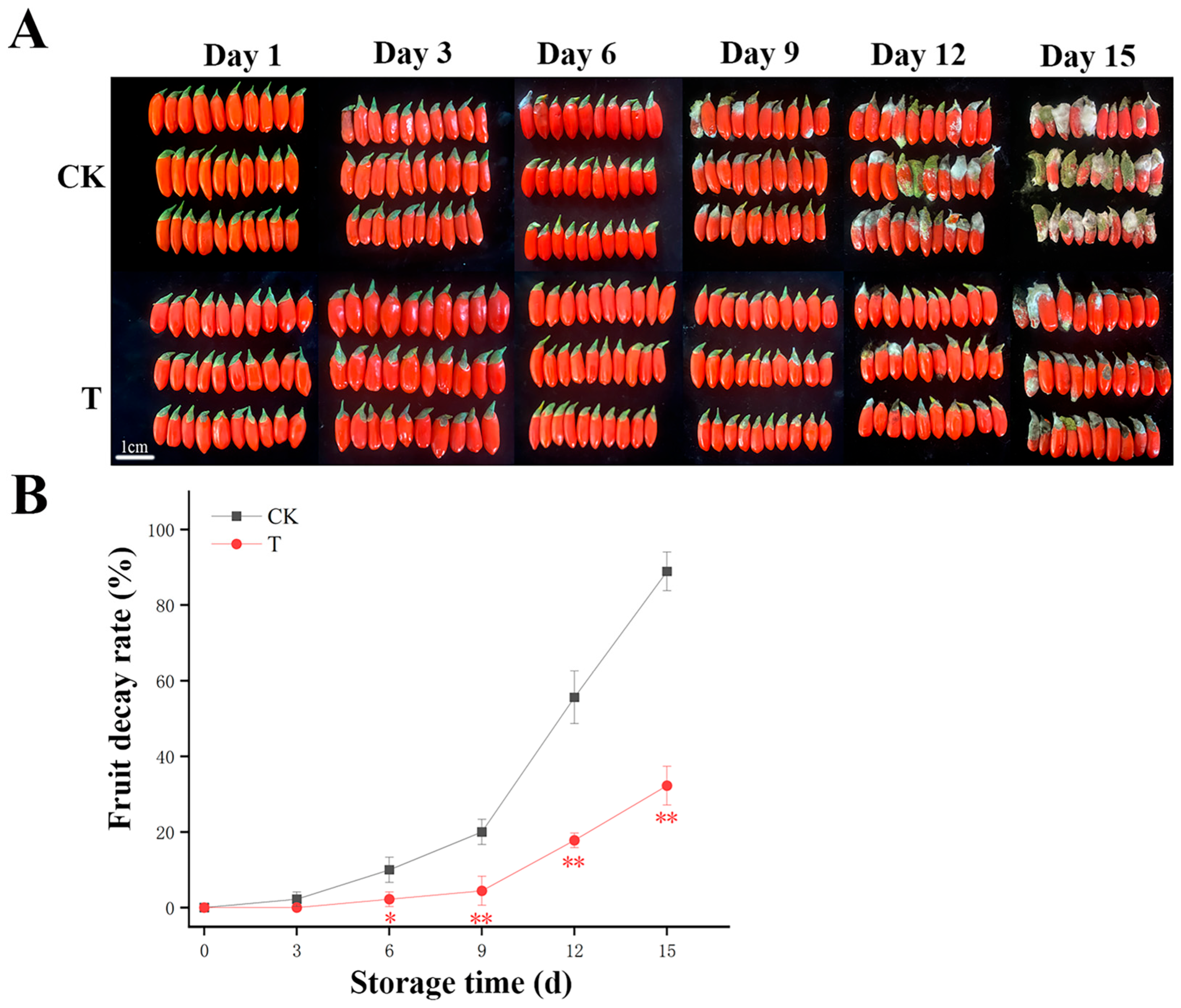 Foods 14 03336 g001 Foods 14 03336 g001