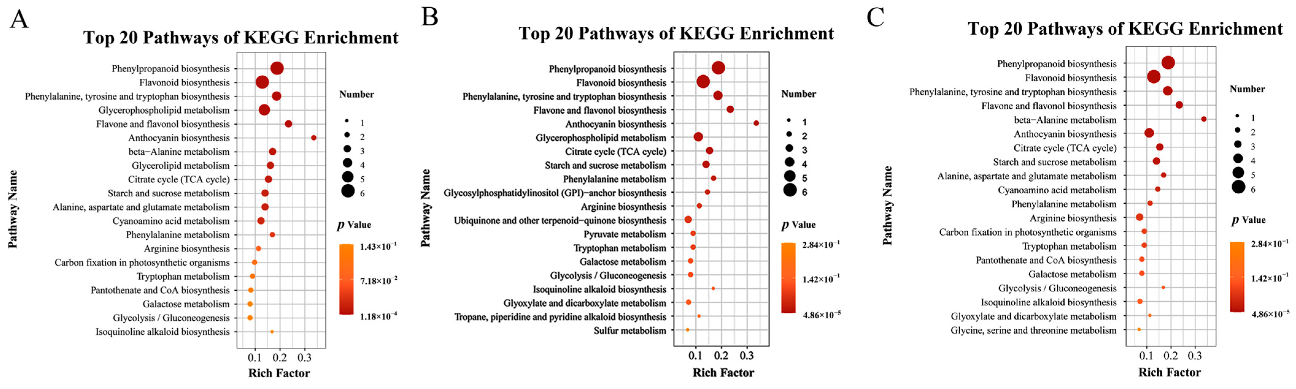 Foods 14 03336 g009 Foods 14 03336 g009
