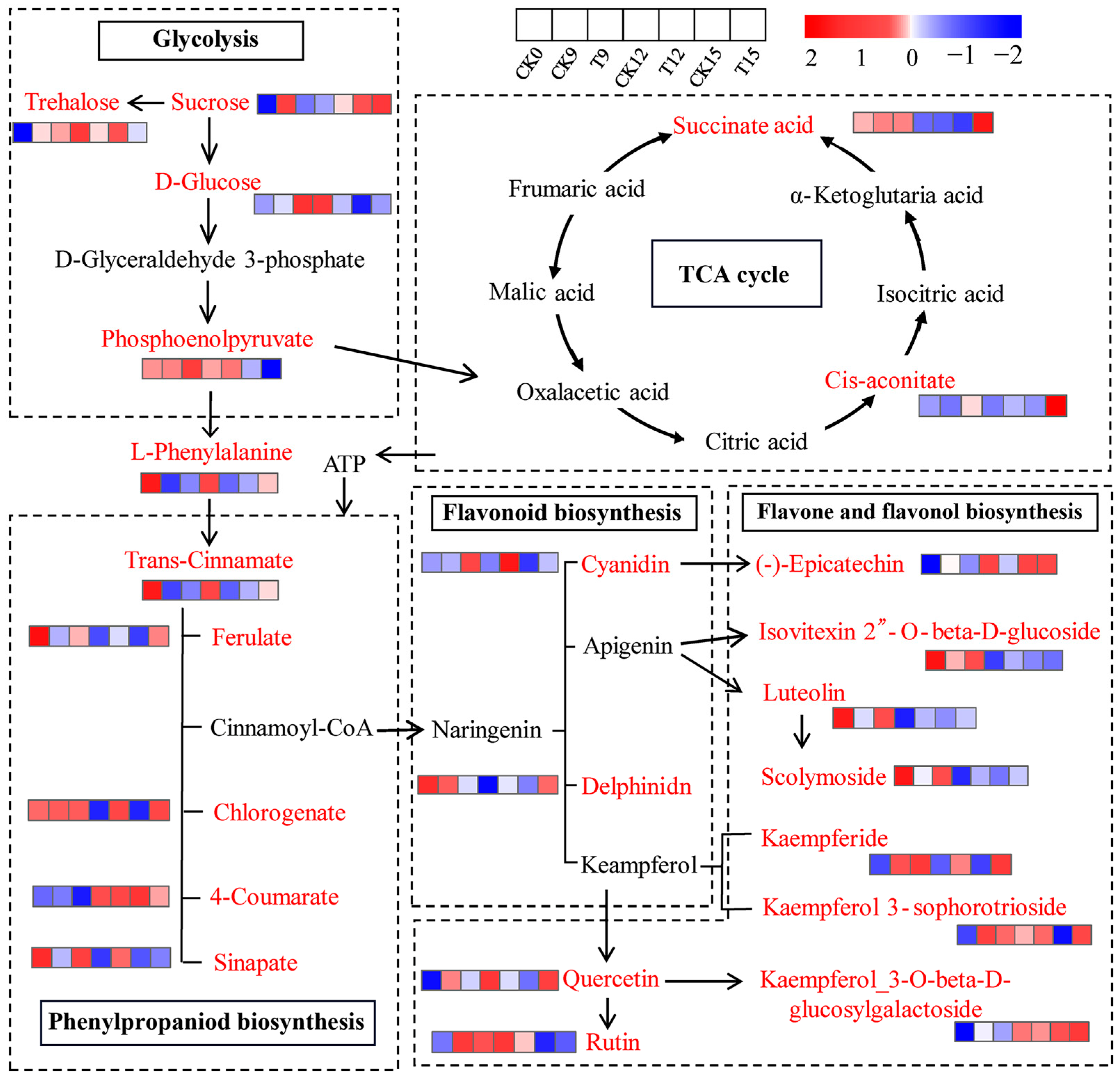 Foods 14 03336 g010 Foods 14 03336 g010
