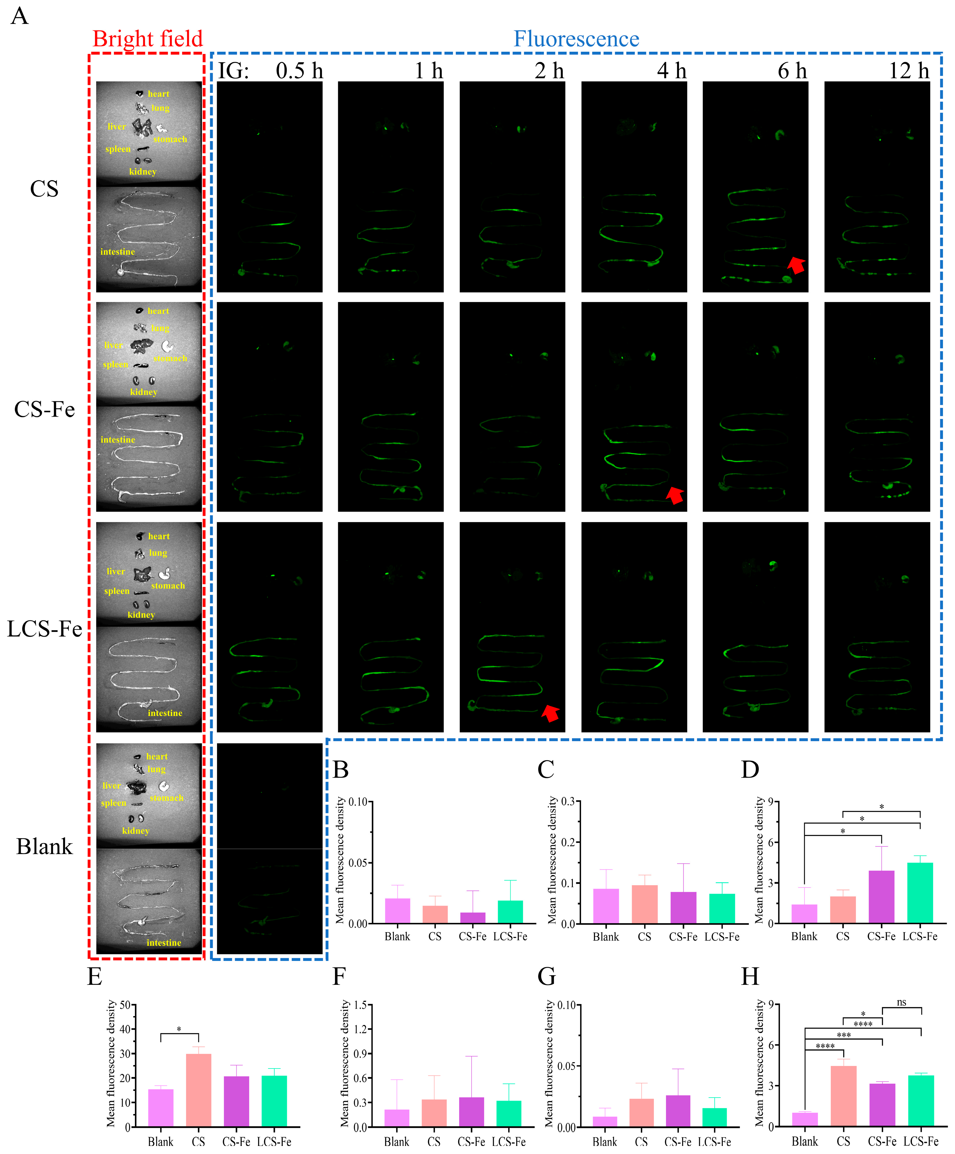Foods 14 03356 g003 Foods 14 03356 g003
