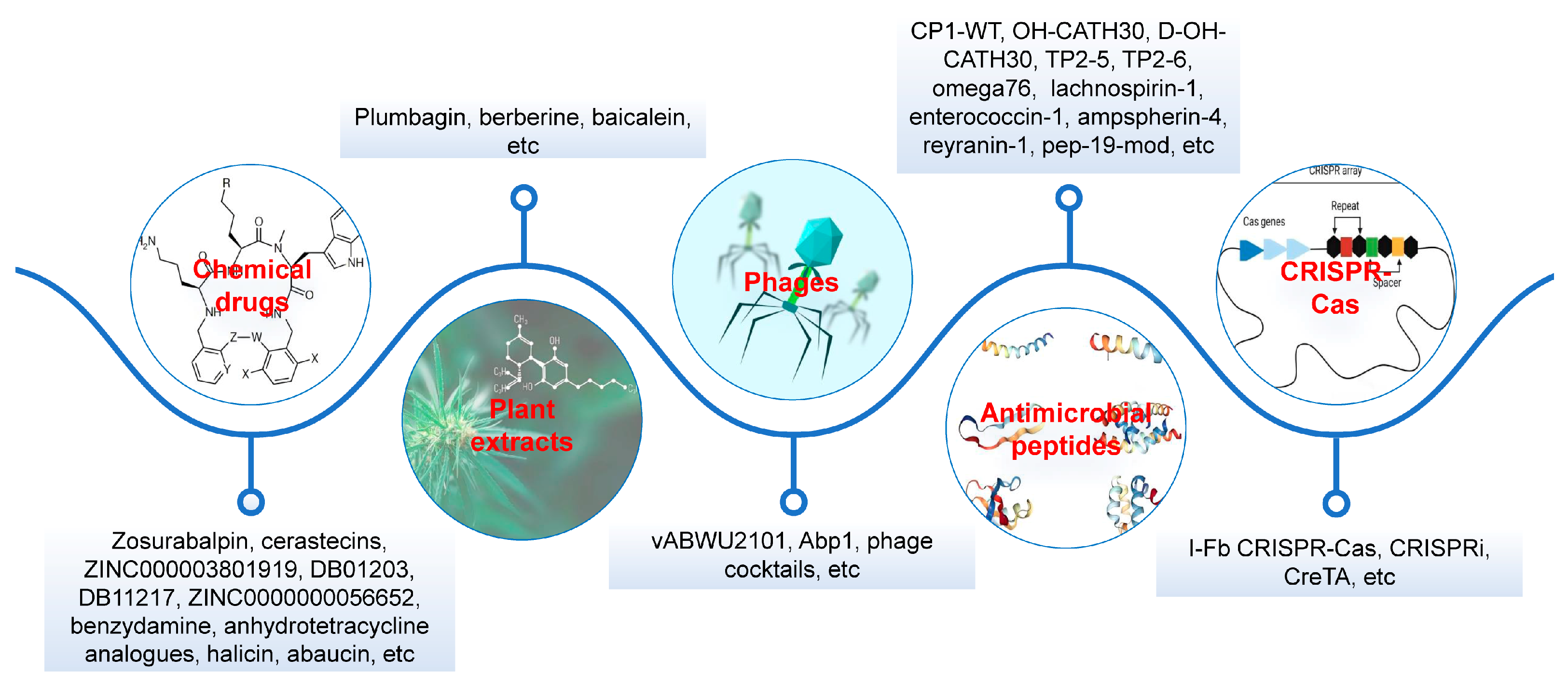Foods 14 03374 g005 Foods 14 03374 g005