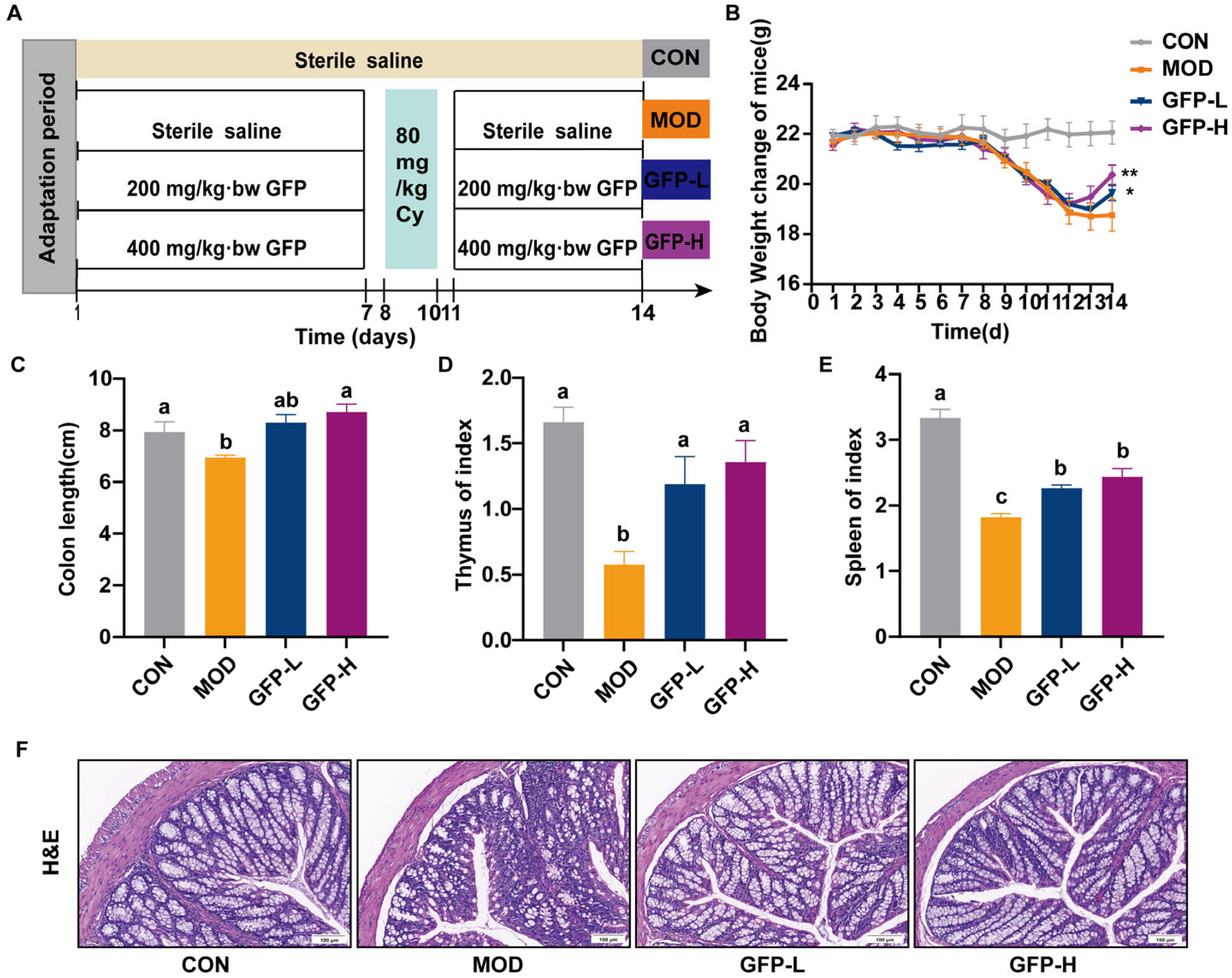 Foods 14 03376 g001 Foods 14 03376 g001
