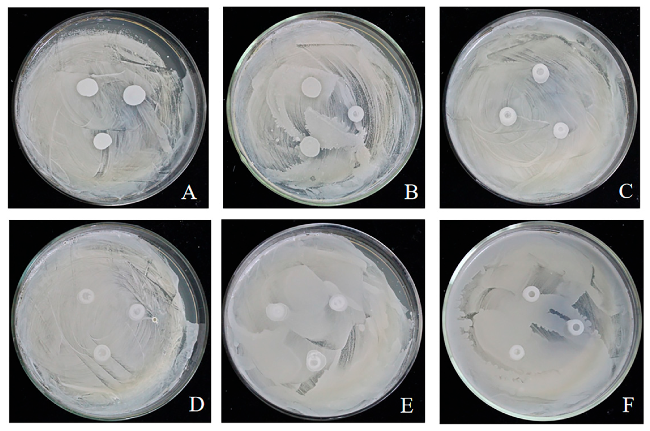 Foods 14 03378 g001 Foods 14 03378 g001