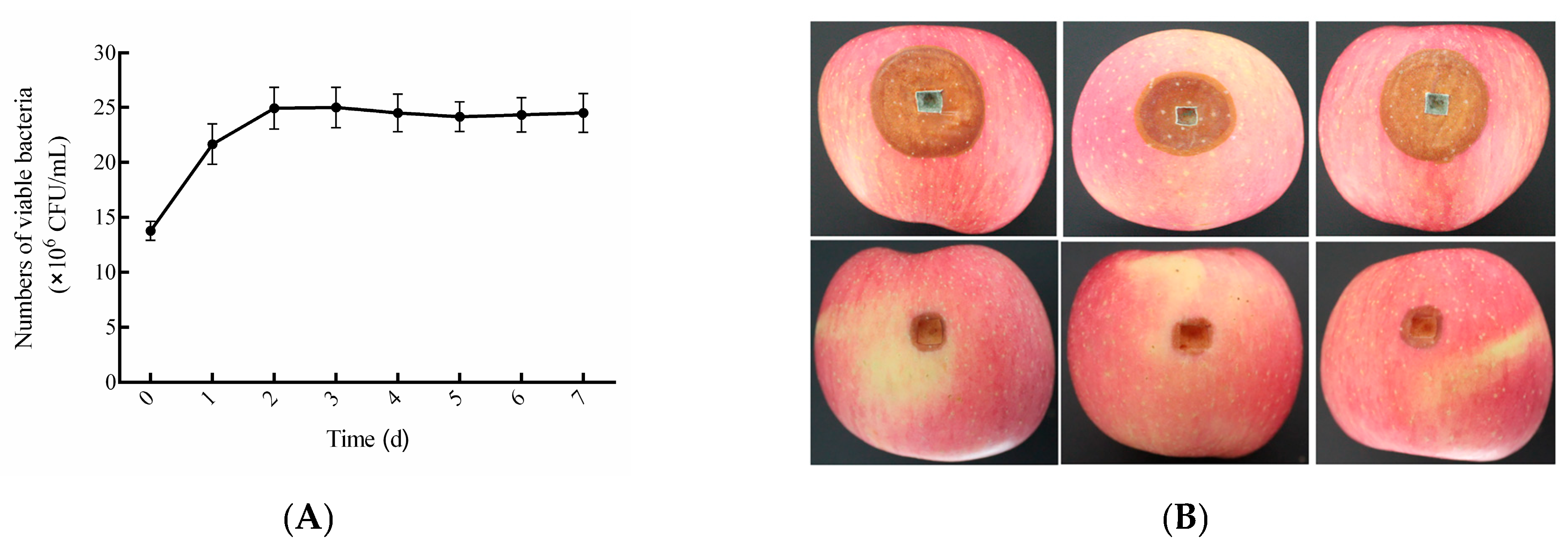 Foods 14 03378 g005a Foods 14 03378 g005a