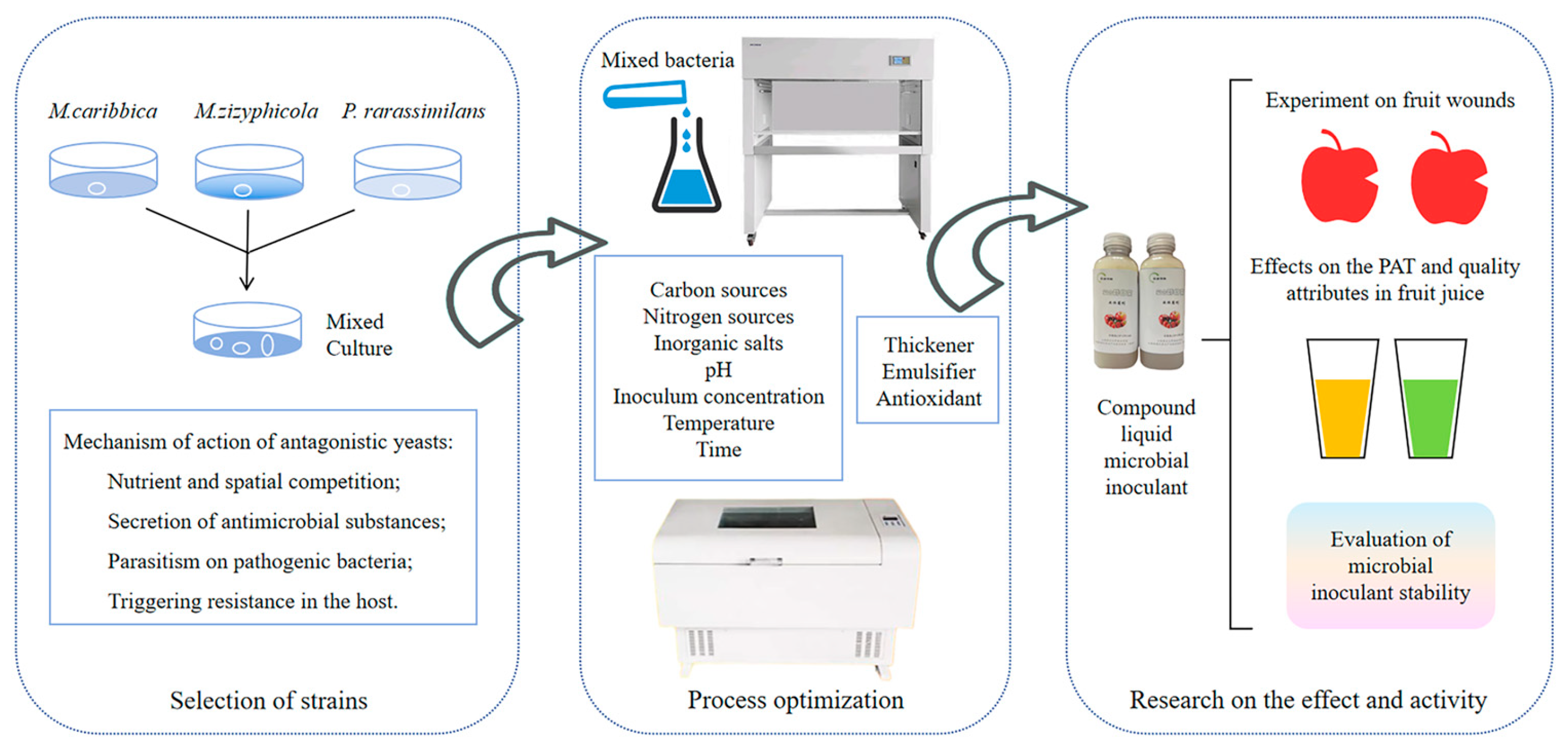 Foods 14 03378 g009 Foods 14 03378 g009