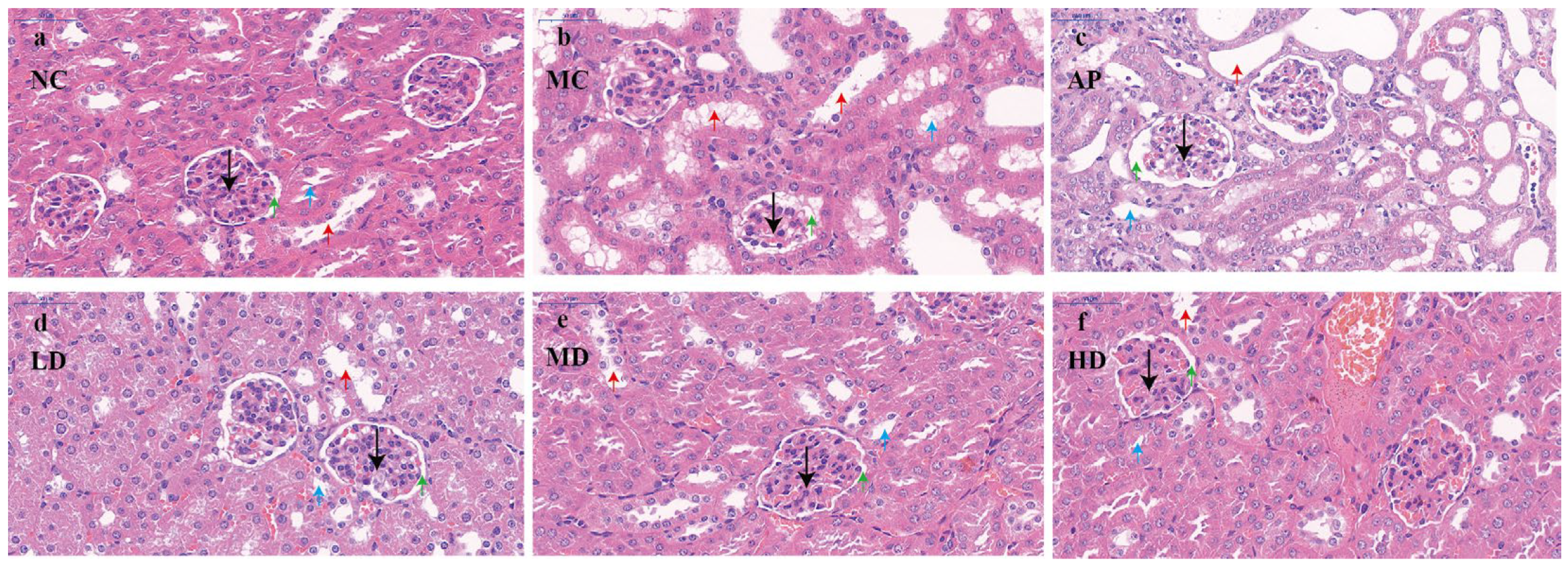 Foods 14 03396 g005 Foods 14 03396 g005