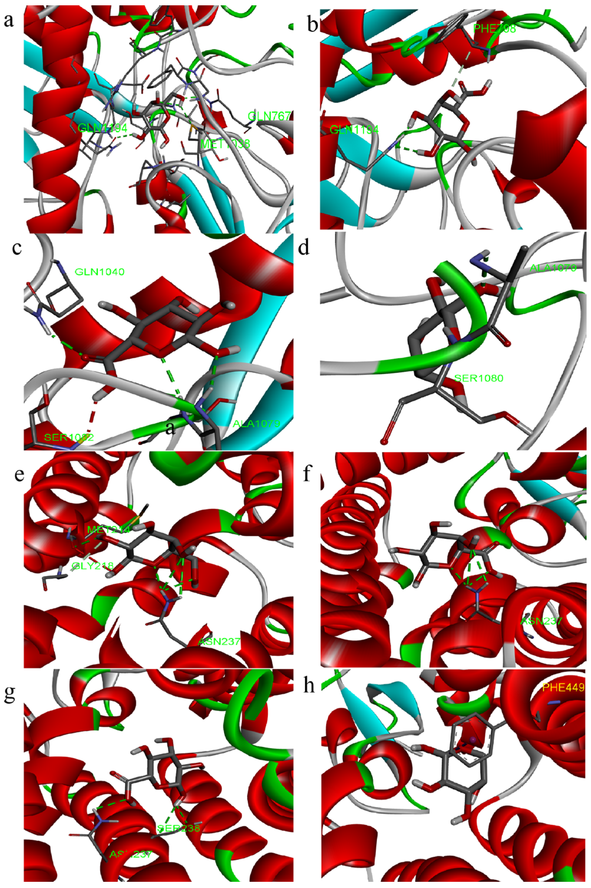 Foods 14 03396 g007 Foods 14 03396 g007