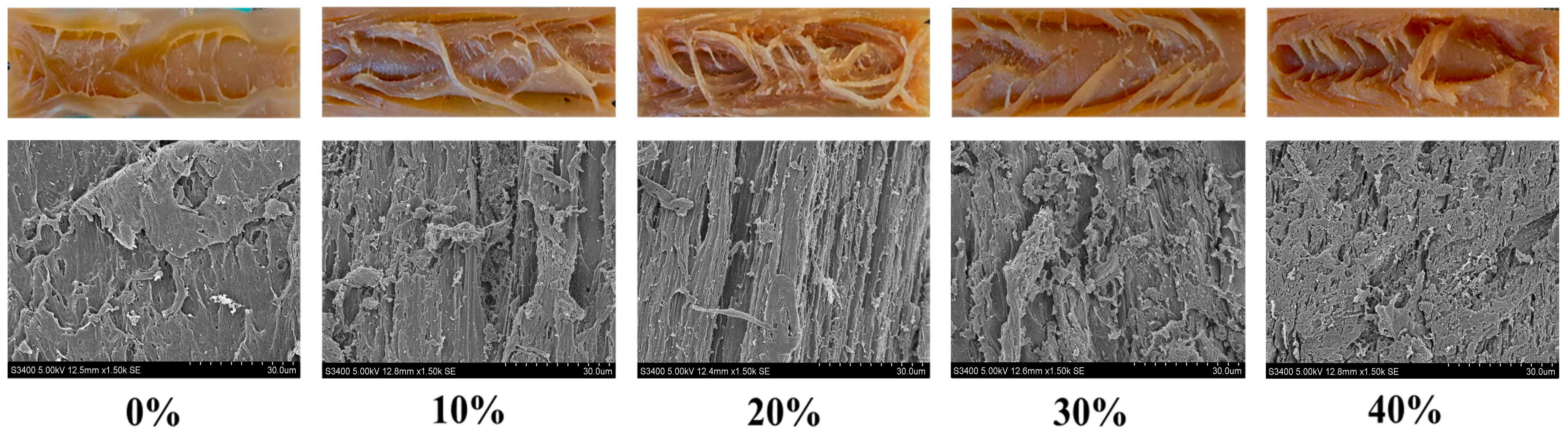 Foods 14 03402 g002 Foods 14 03402 g002