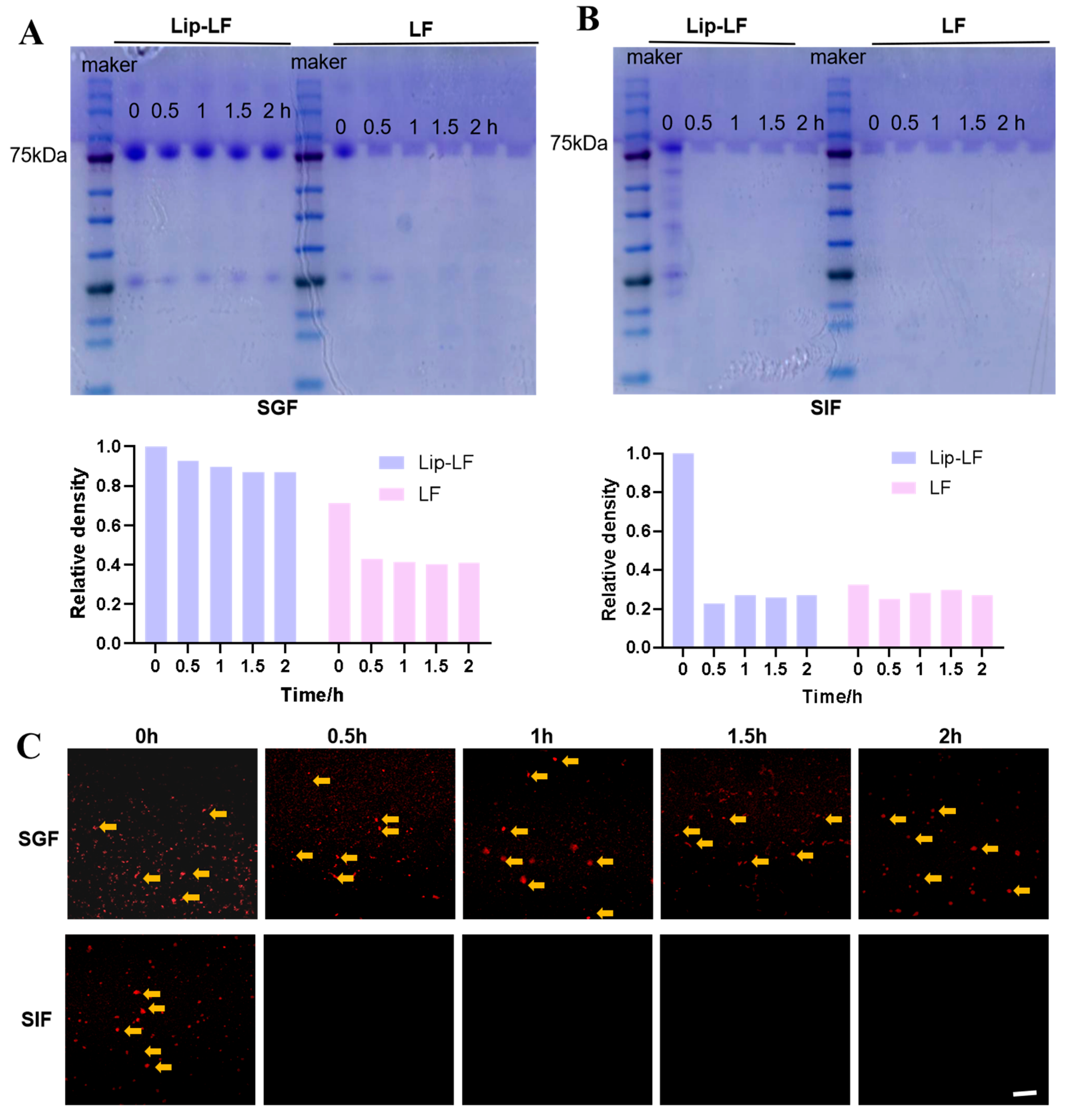 Foods 14 03410 g003 Foods 14 03410 g003