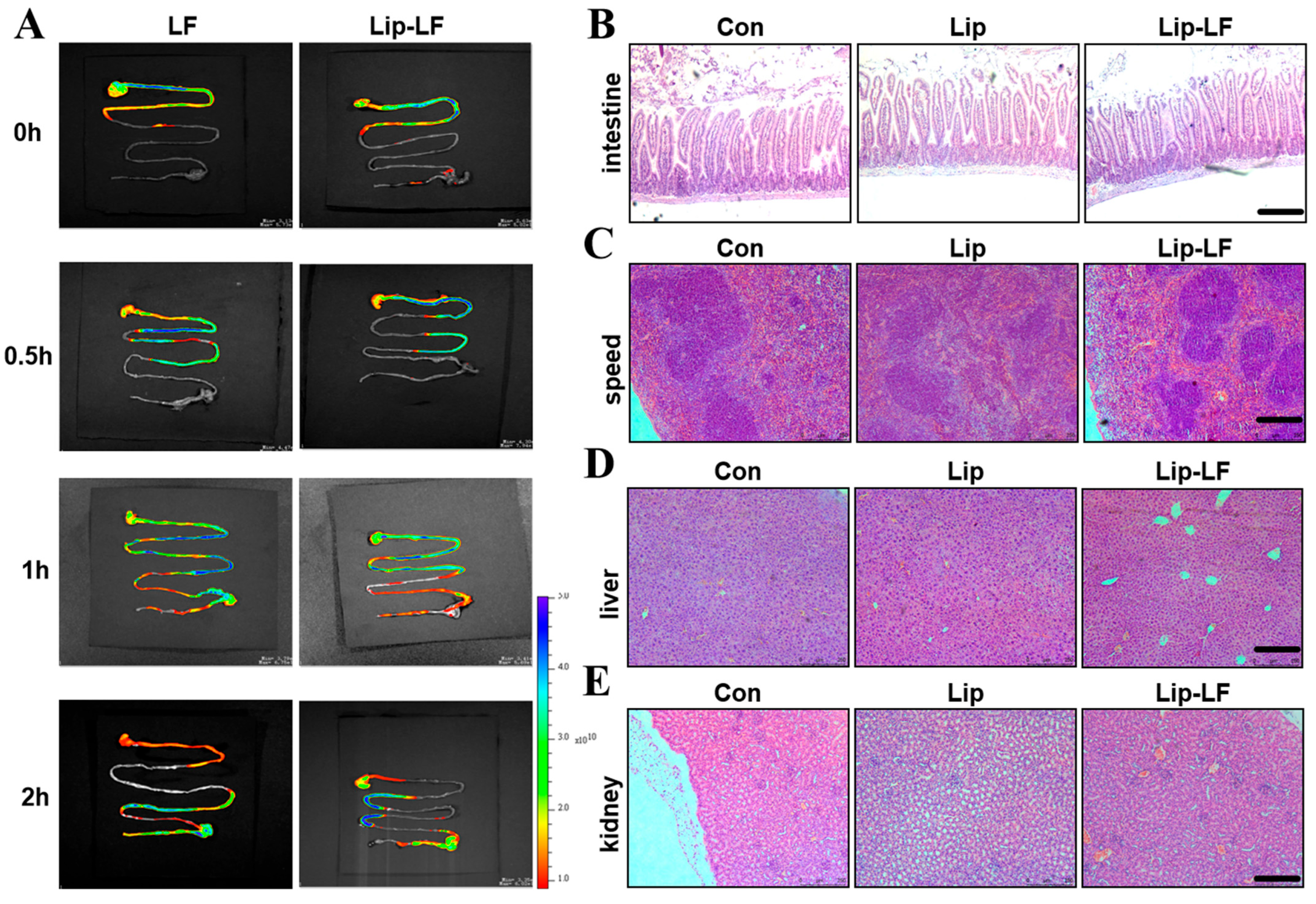 Foods 14 03410 g004 Foods 14 03410 g004
