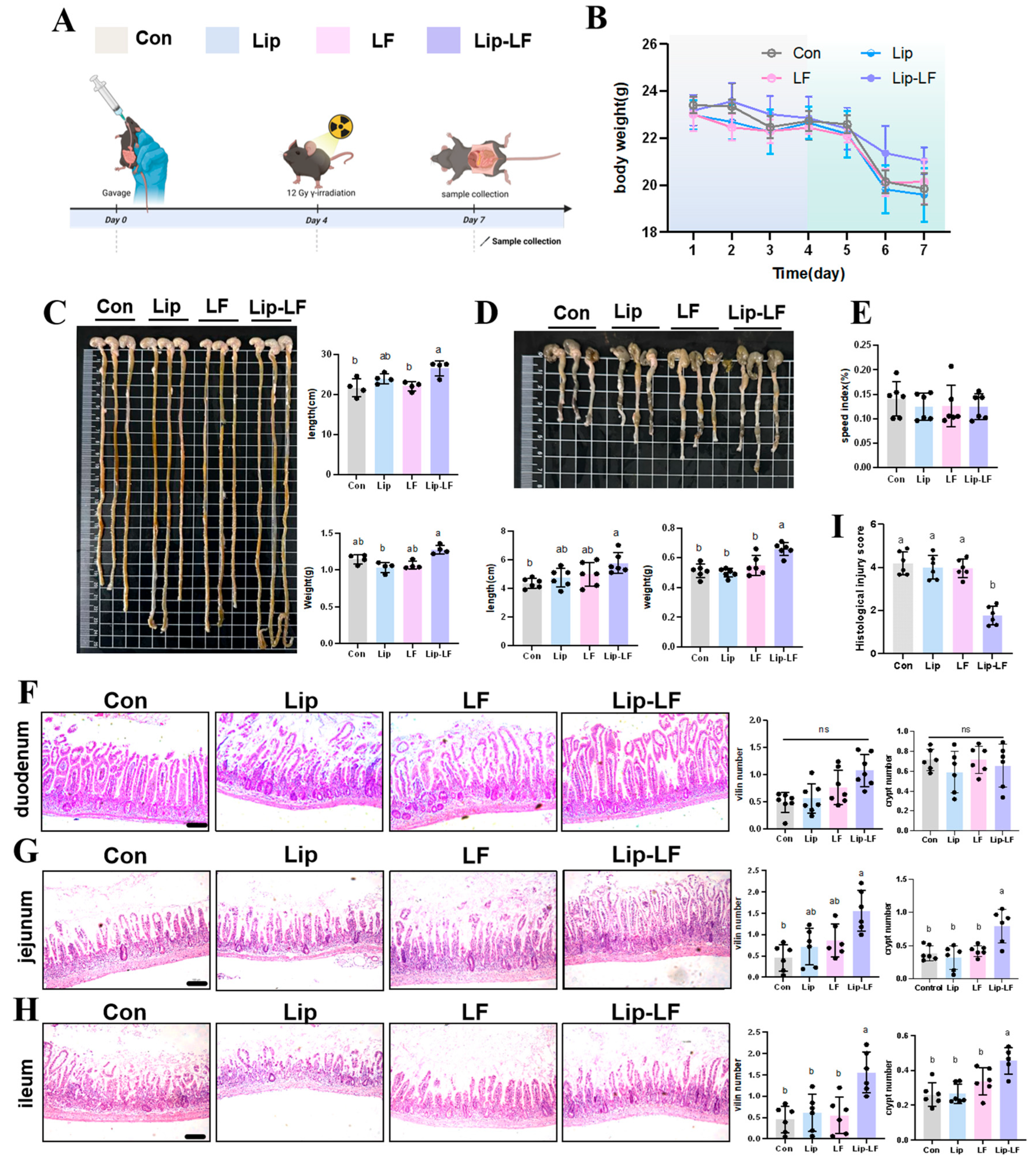 Foods 14 03410 g005 Foods 14 03410 g005