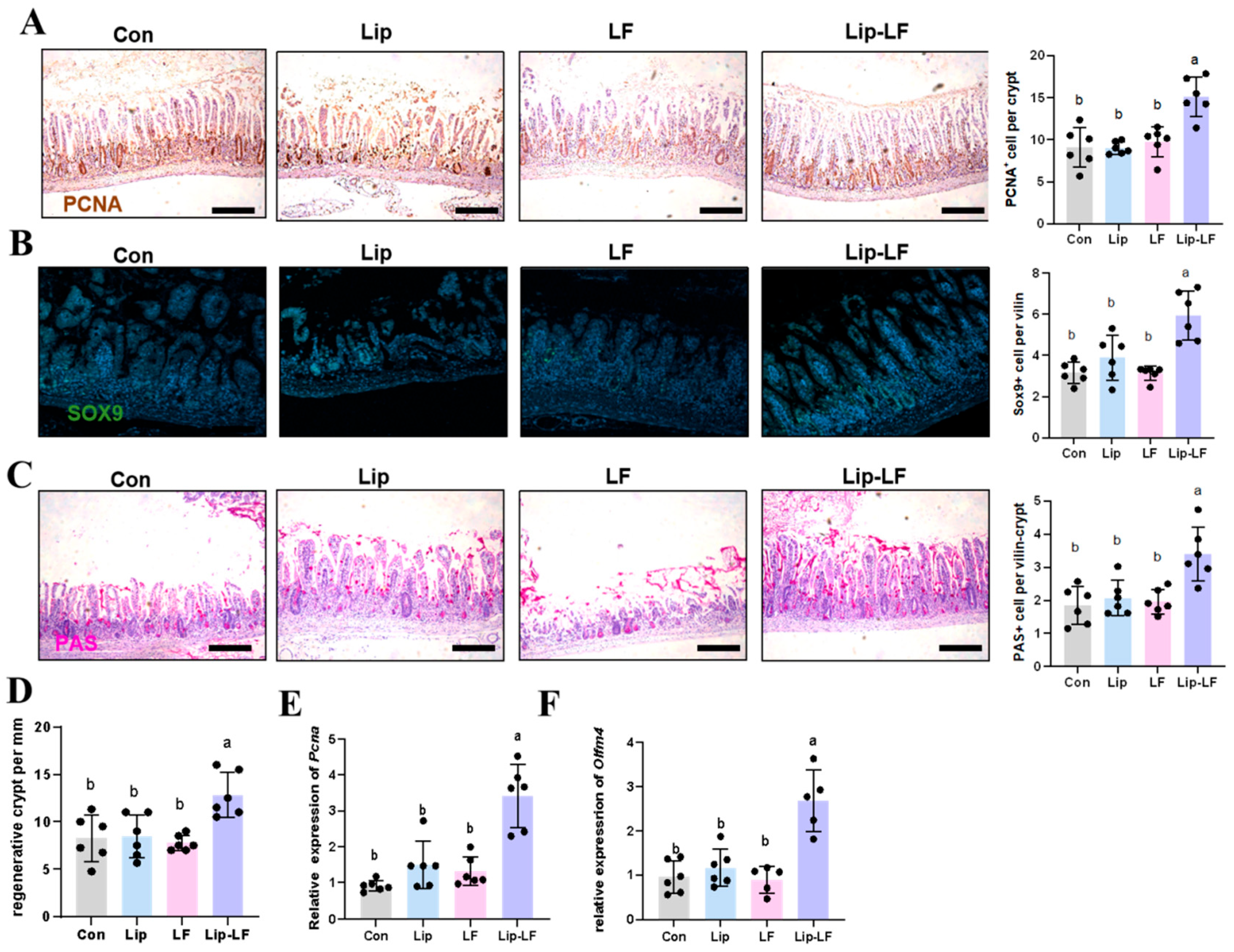 Foods 14 03410 g006 Foods 14 03410 g006