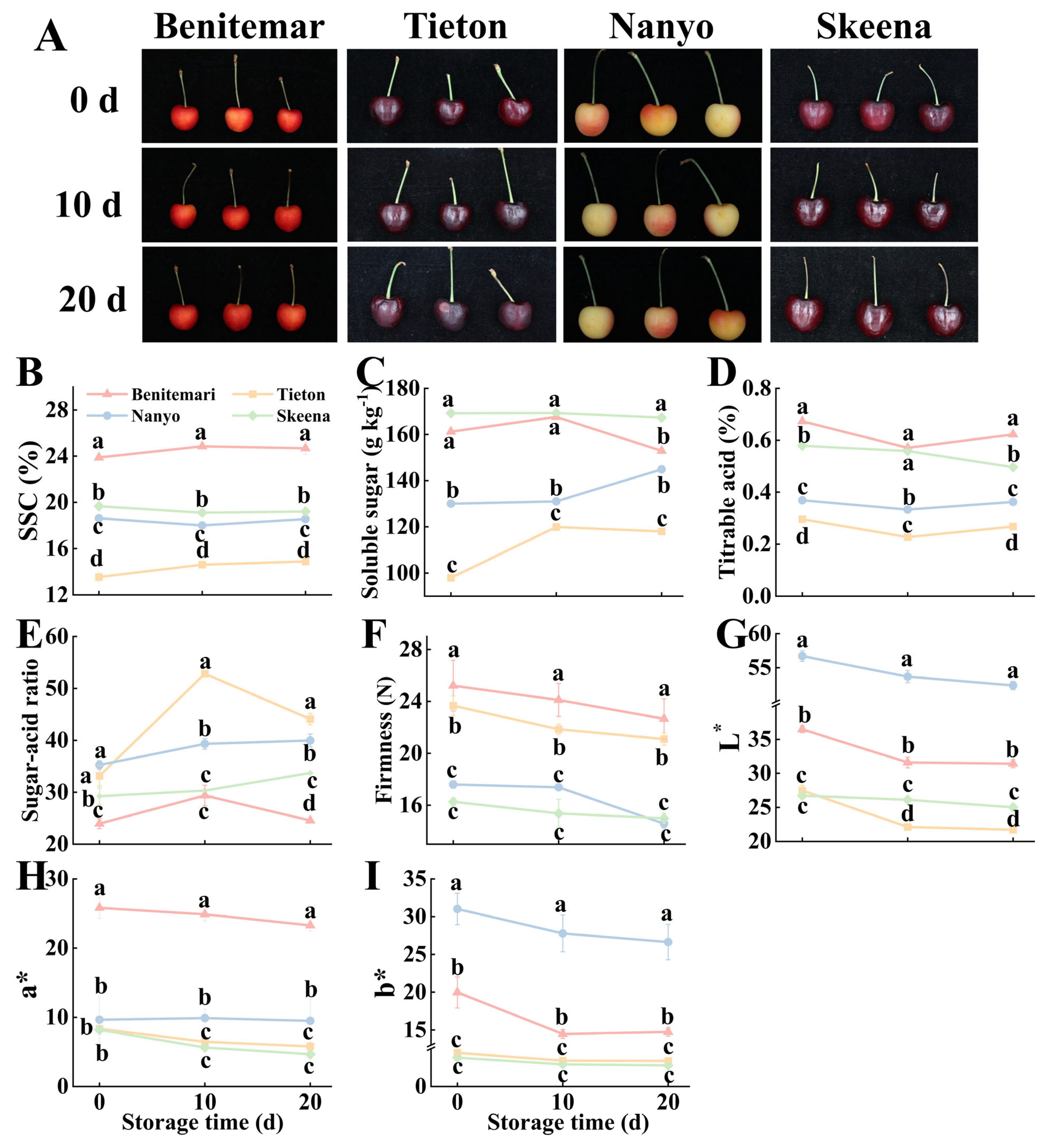 Foods 14 03432 g001 Foods 14 03432 g001