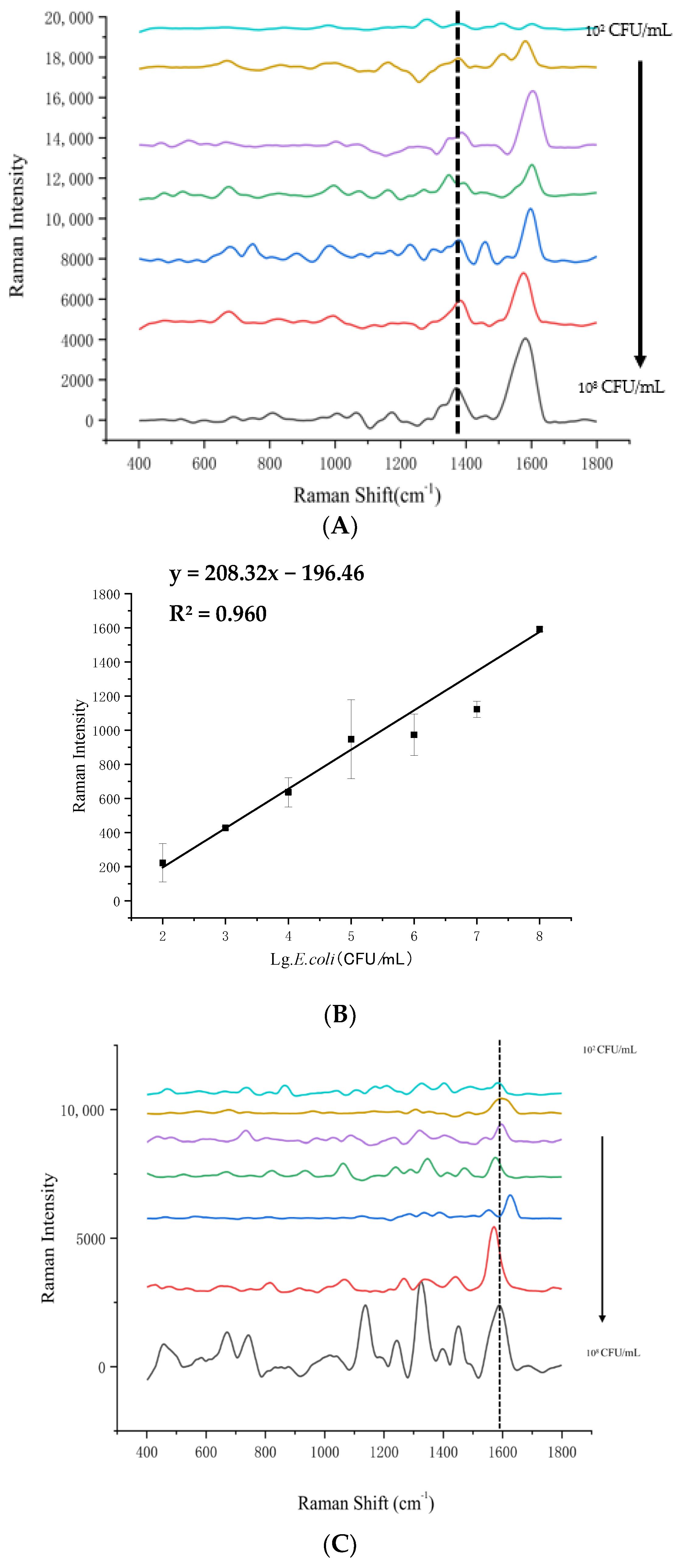 Foods 14 03434 g004a Foods 14 03434 g004a