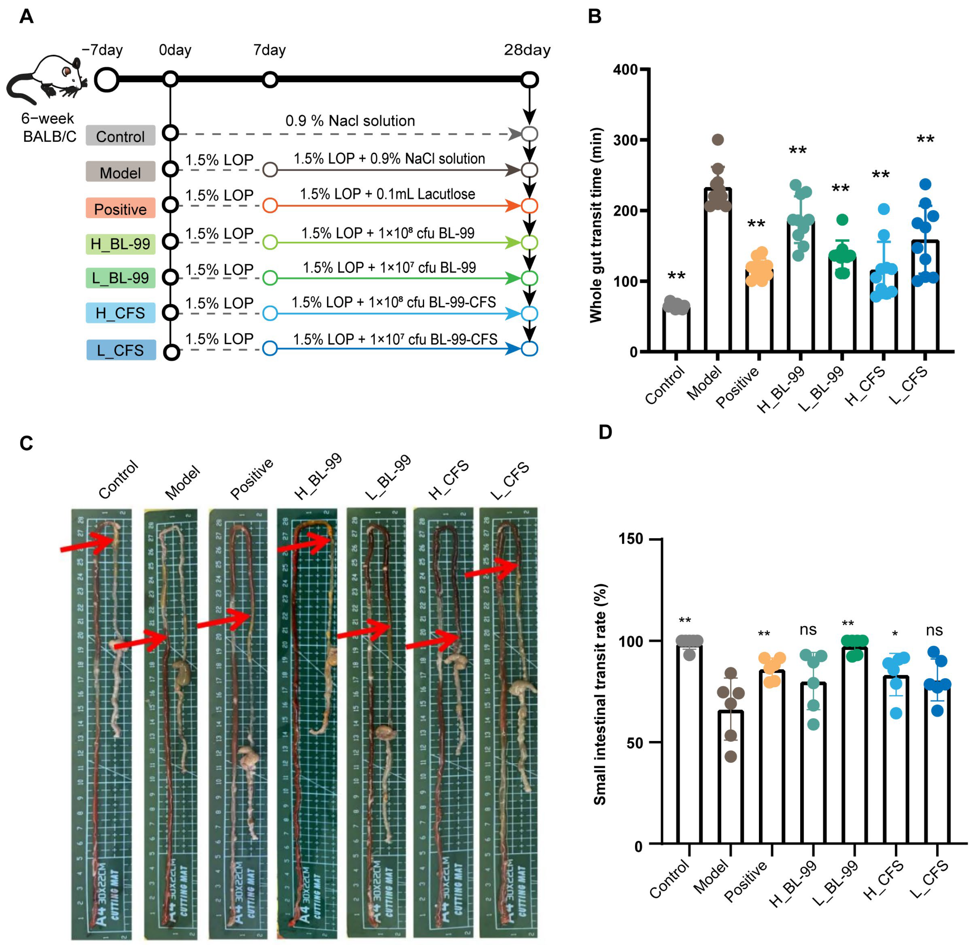 Foods 14 03441 g001 Foods 14 03441 g001