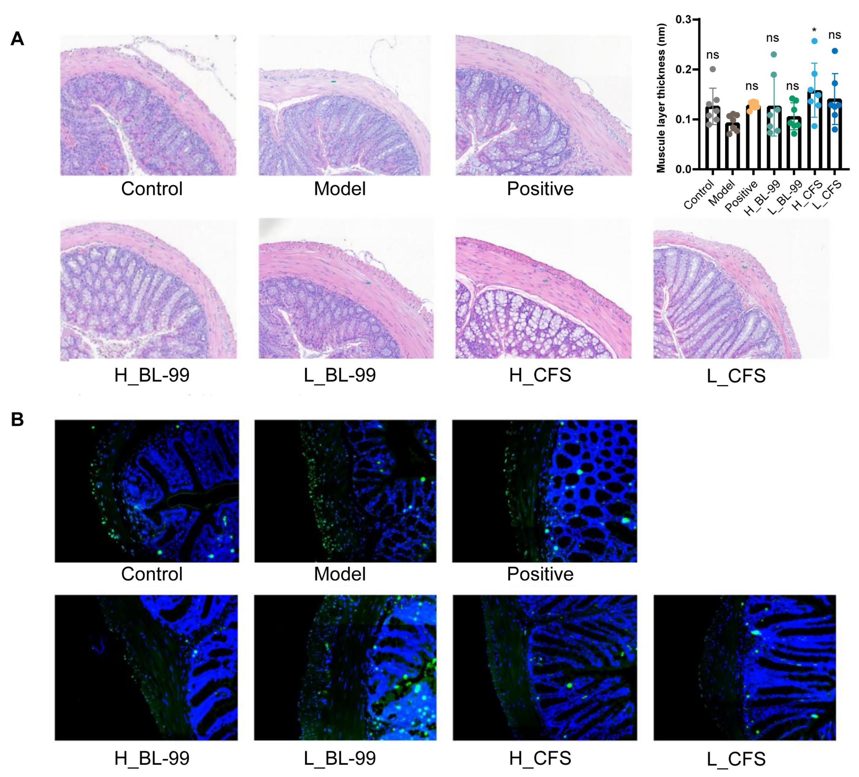 Foods 14 03441 g003 Foods 14 03441 g003
