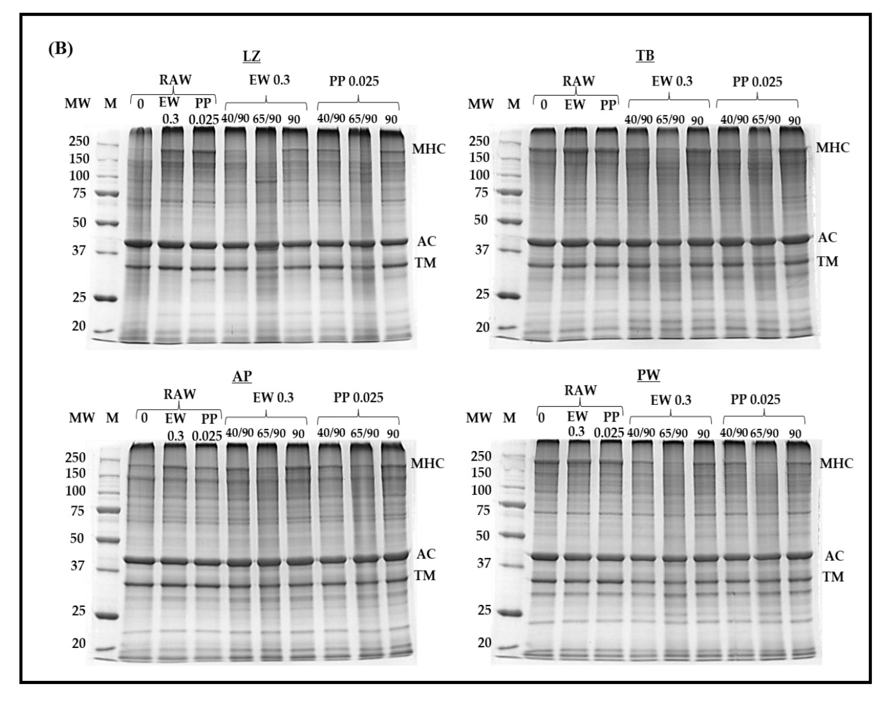 Foods 14 03444 g004b Foods 14 03444 g004b