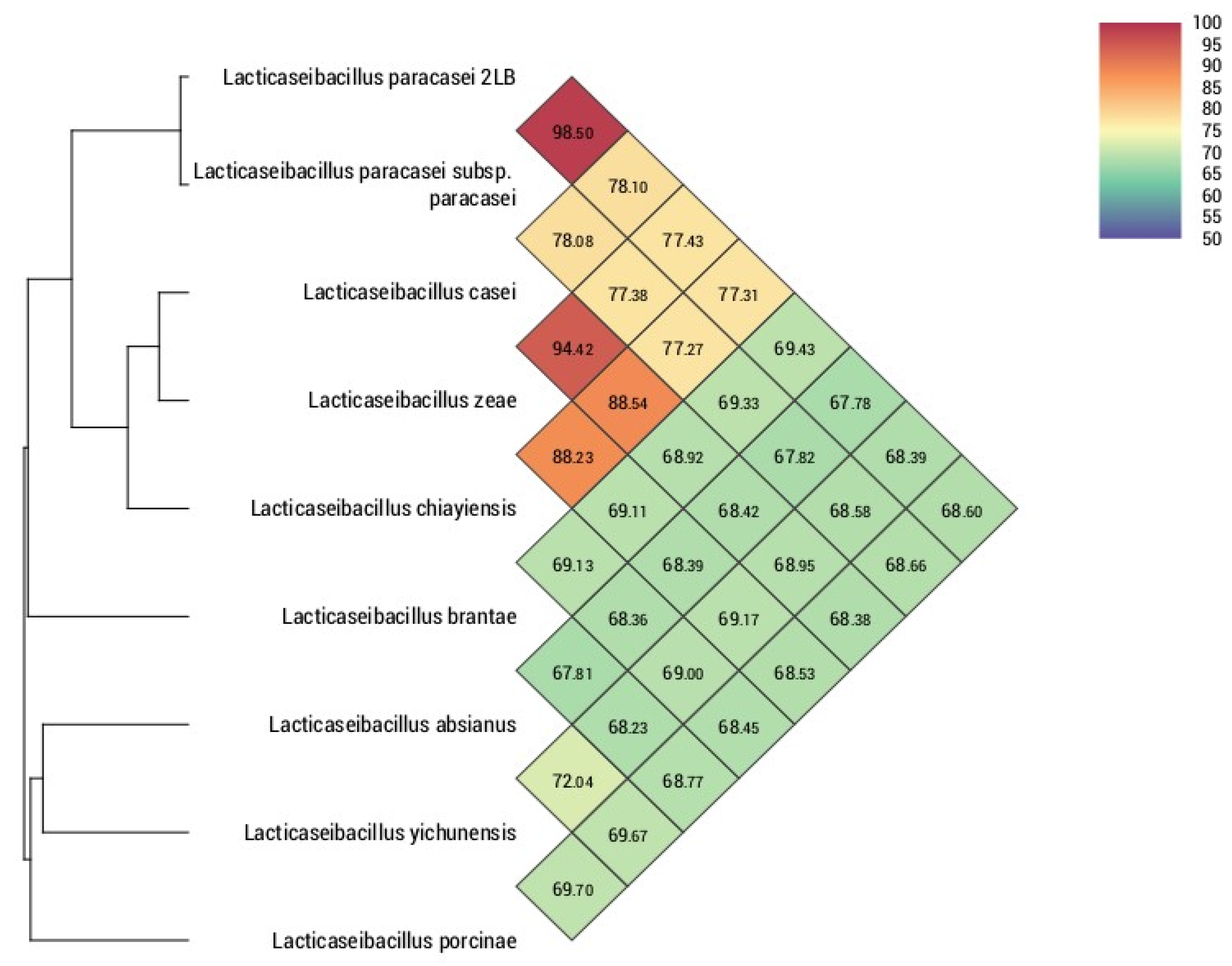 Foods 14 03449 g002 Foods 14 03449 g002