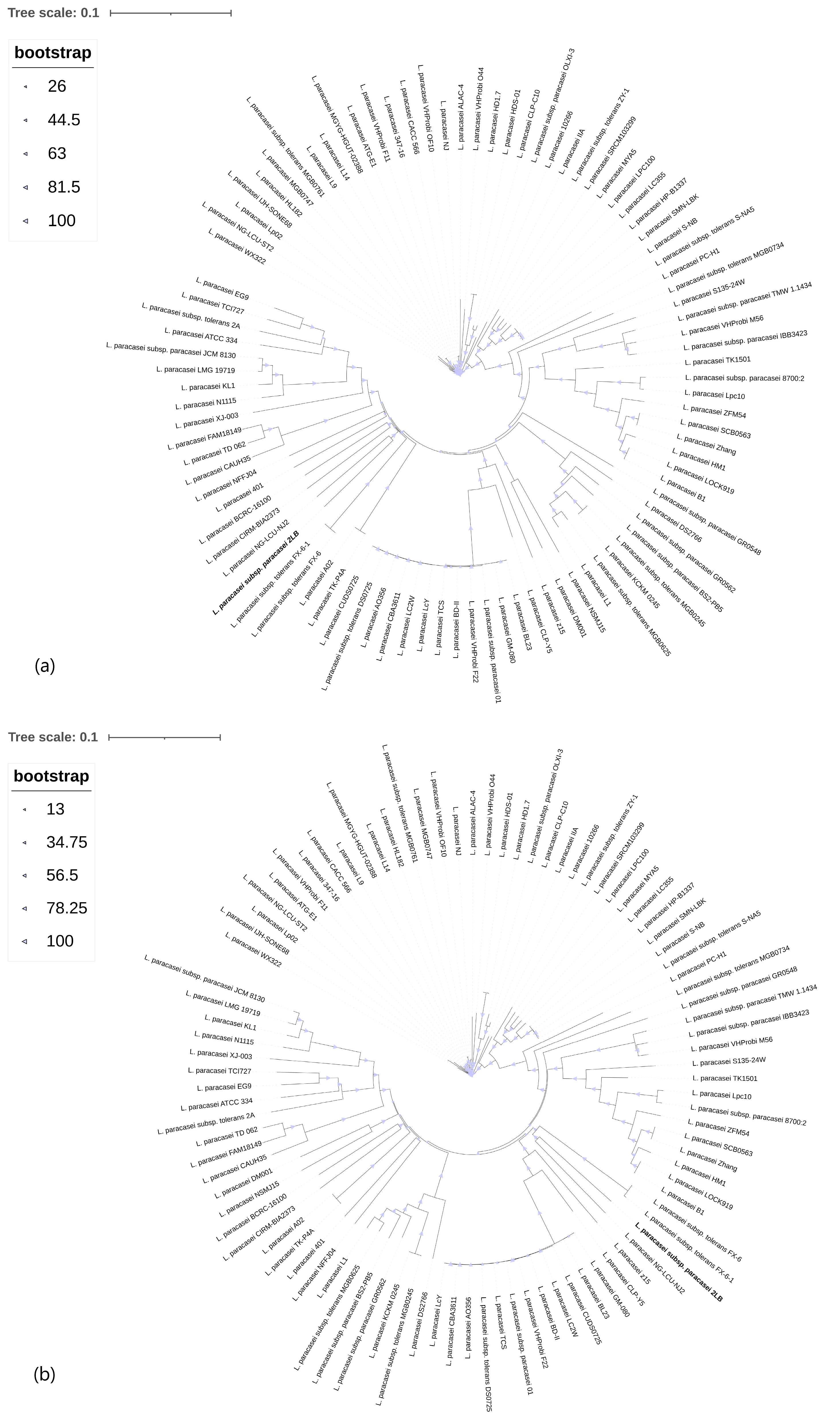 Foods 14 03449 g003 Foods 14 03449 g003