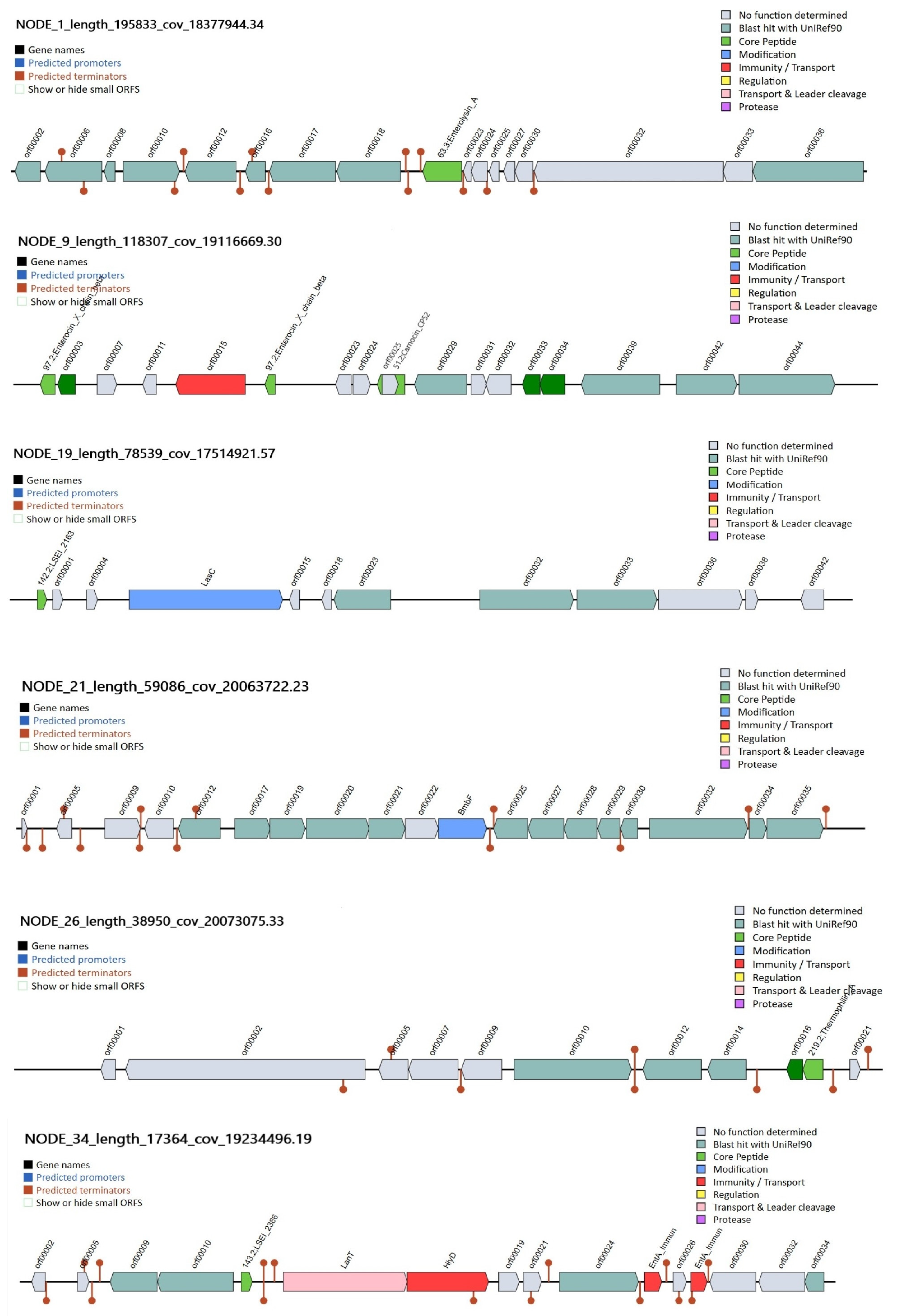 Foods 14 03449 g006 Foods 14 03449 g006