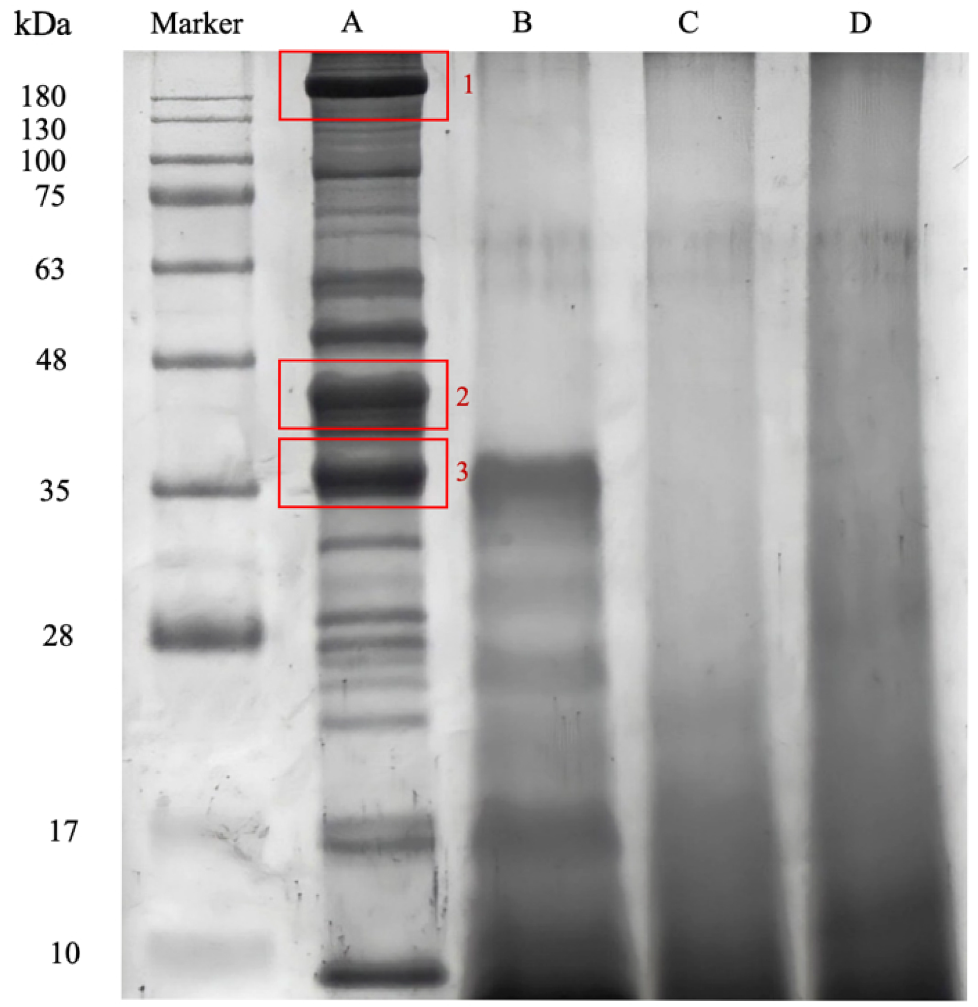 Foods 14 03456 g001 Foods 14 03456 g001