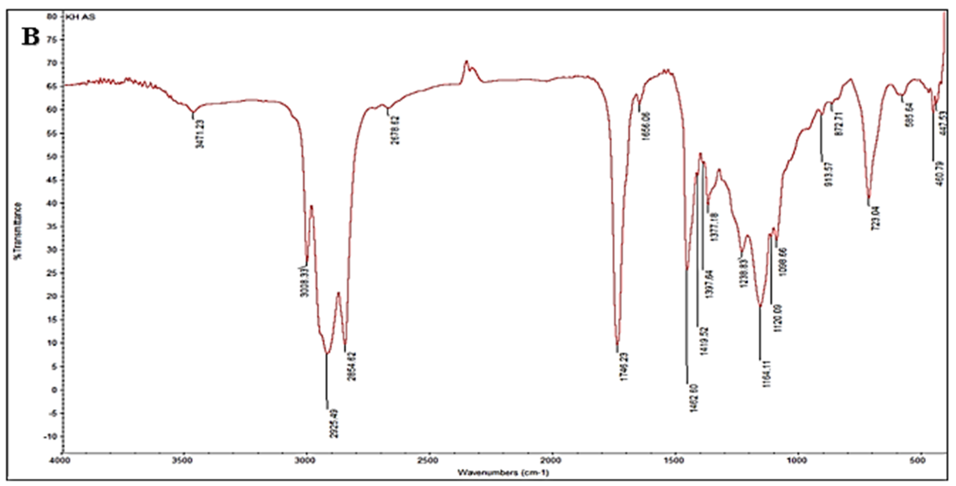 Foods 14 03458 g002b