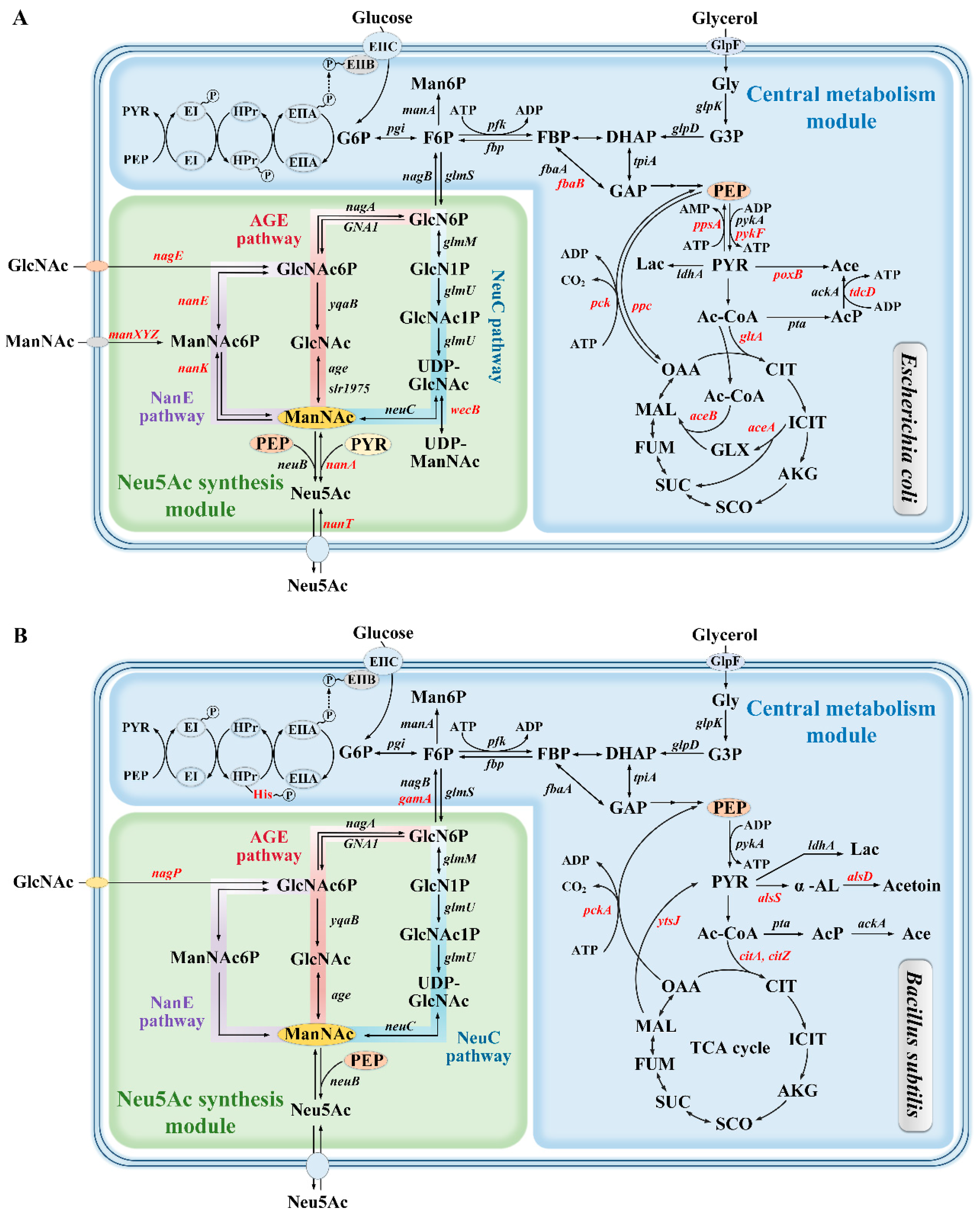 Foods 14 03478 g002 Foods 14 03478 g002