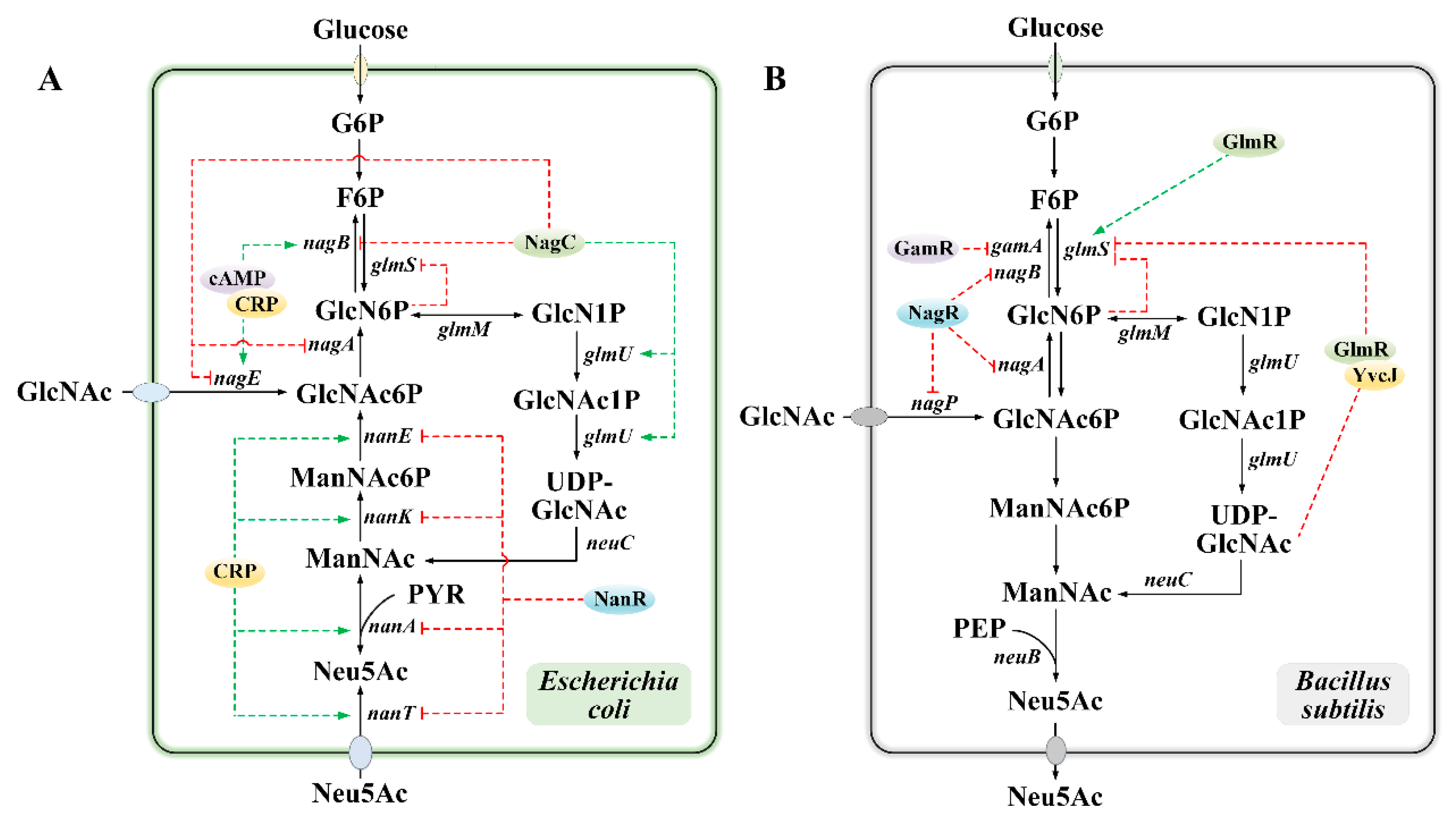 Foods 14 03478 g003 Foods 14 03478 g003