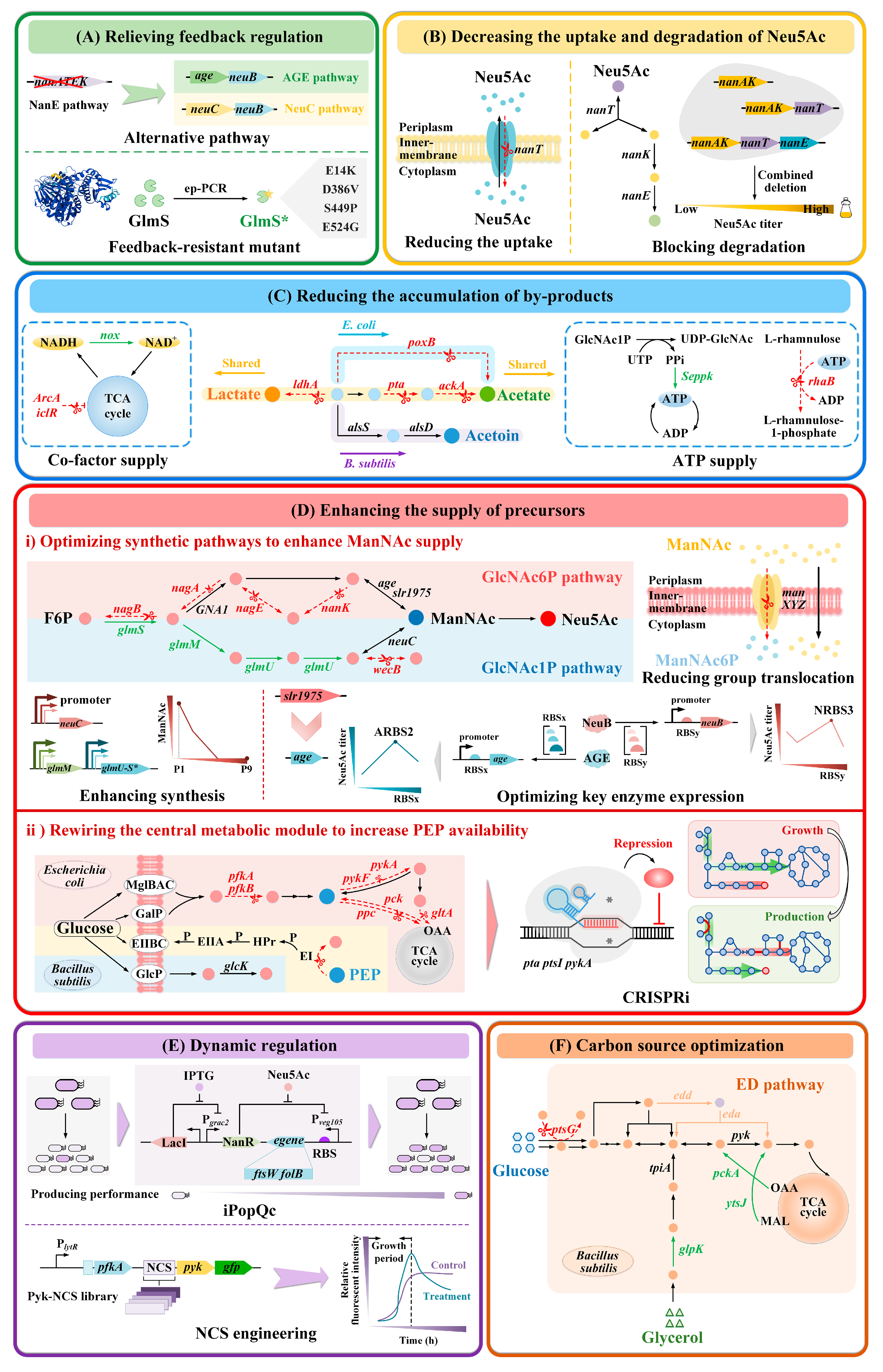 Foods 14 03478 g004 Foods 14 03478 g004