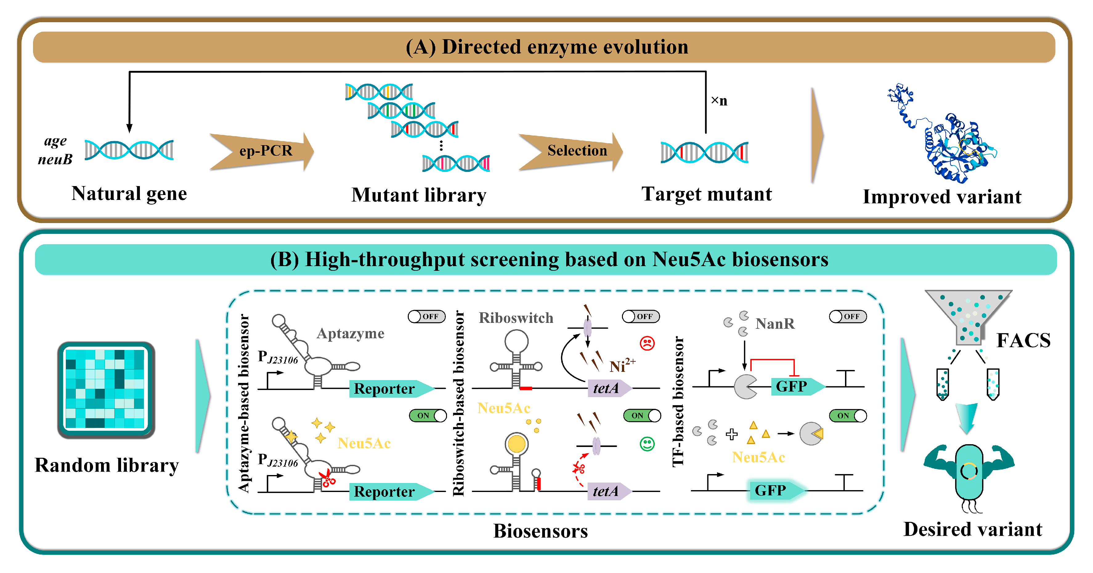 Foods 14 03478 g005 Foods 14 03478 g005