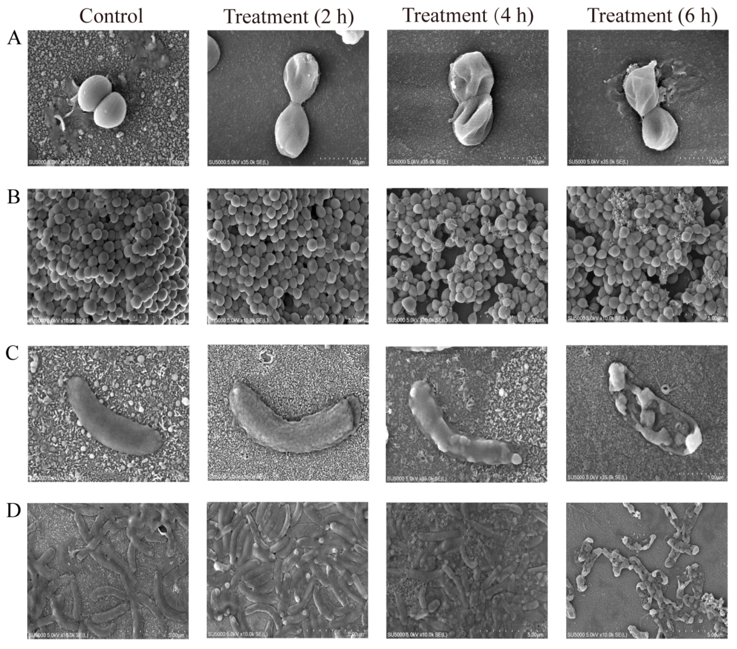 Foods 14 03479 g003 Foods 14 03479 g003